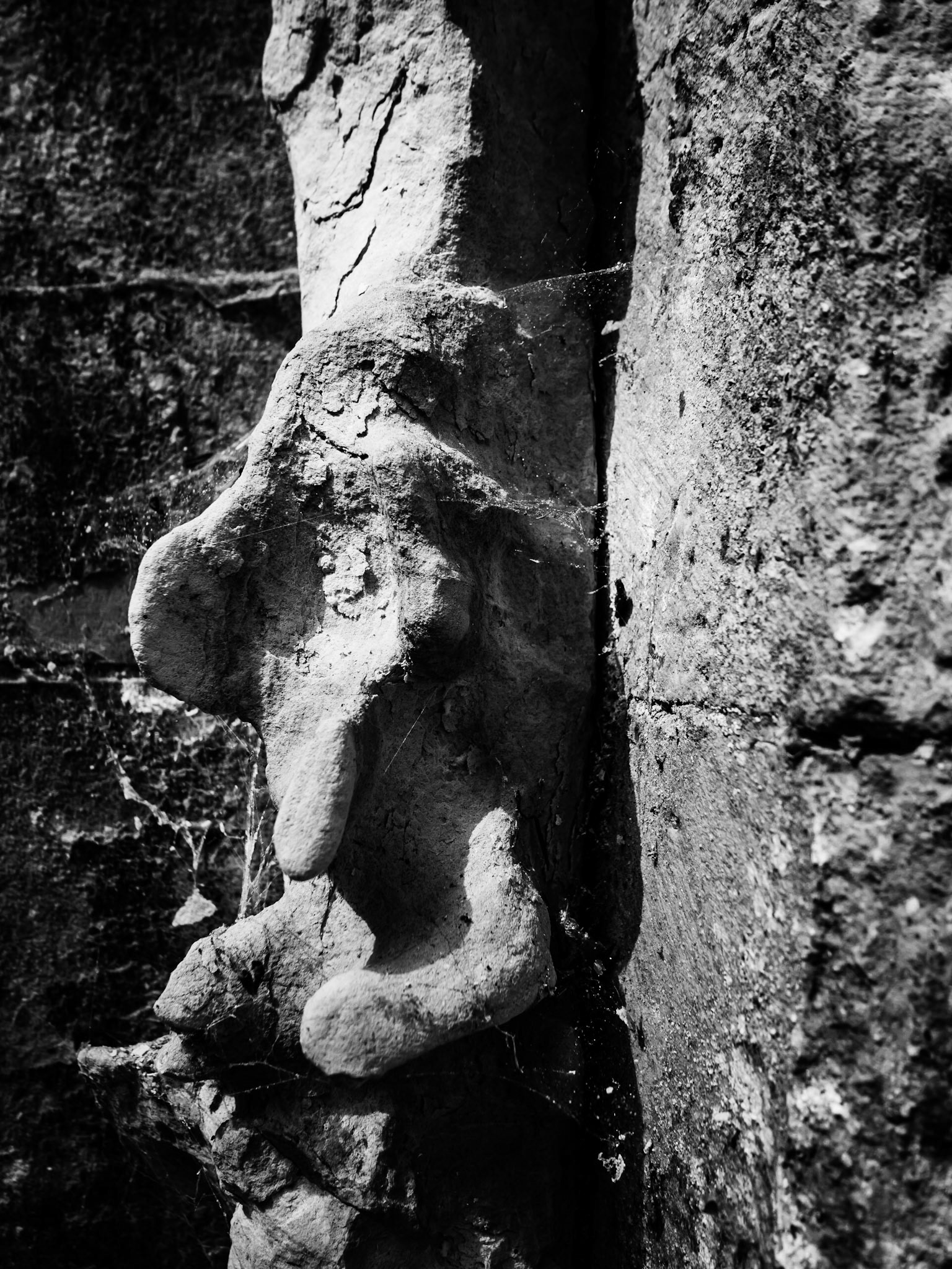 York Minster gardens