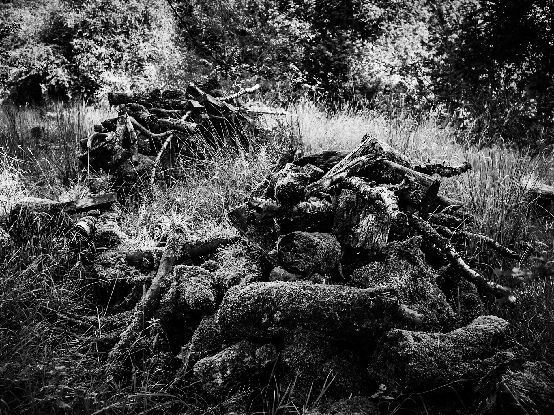 Walking with Meetup Luddenden