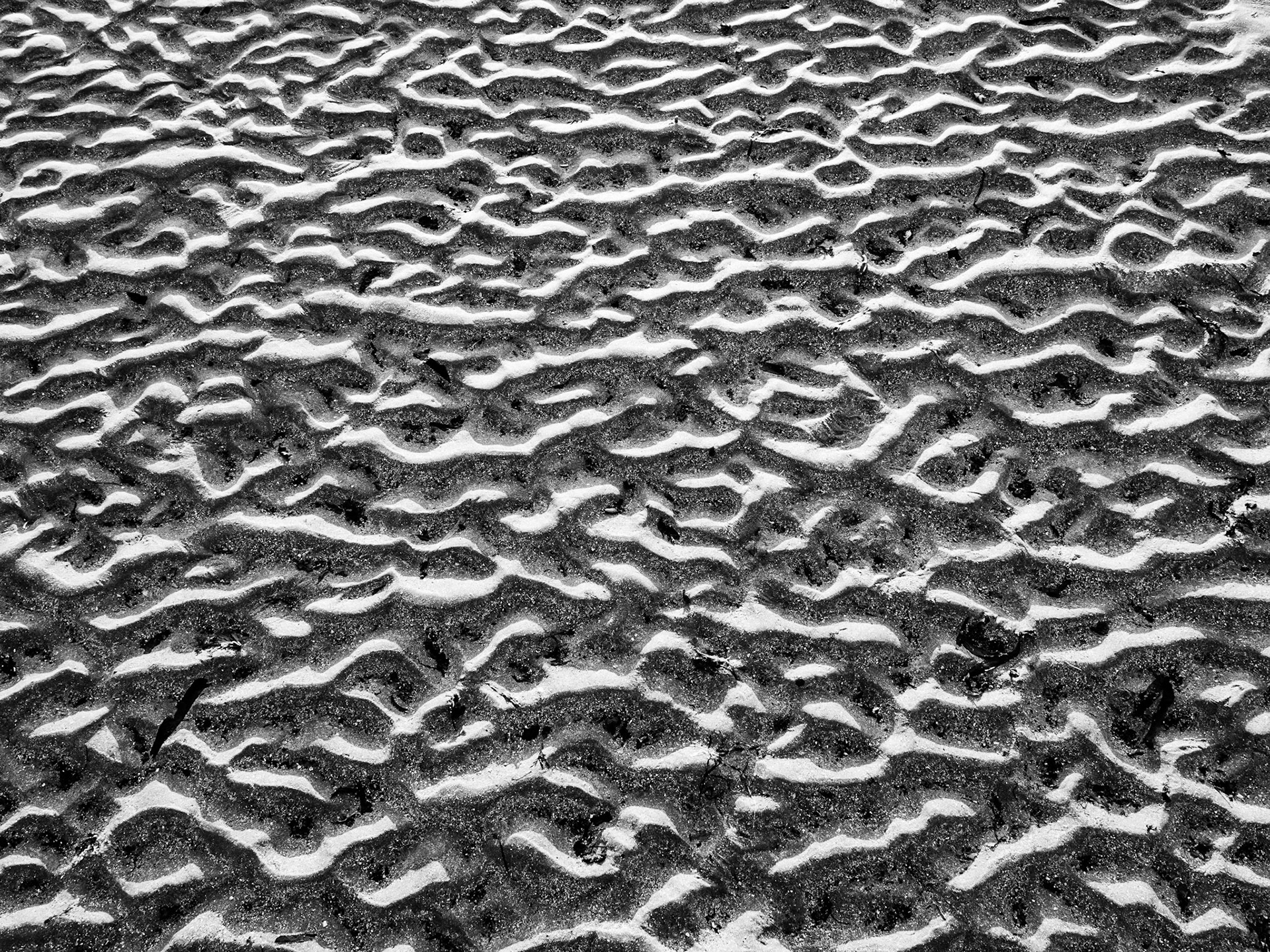 Beadnell Northumberland Summer 2019