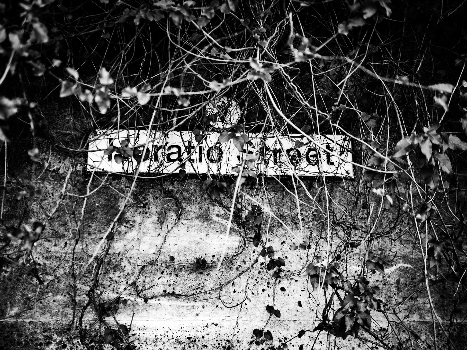 Newcastle, Northumberland summer 2019