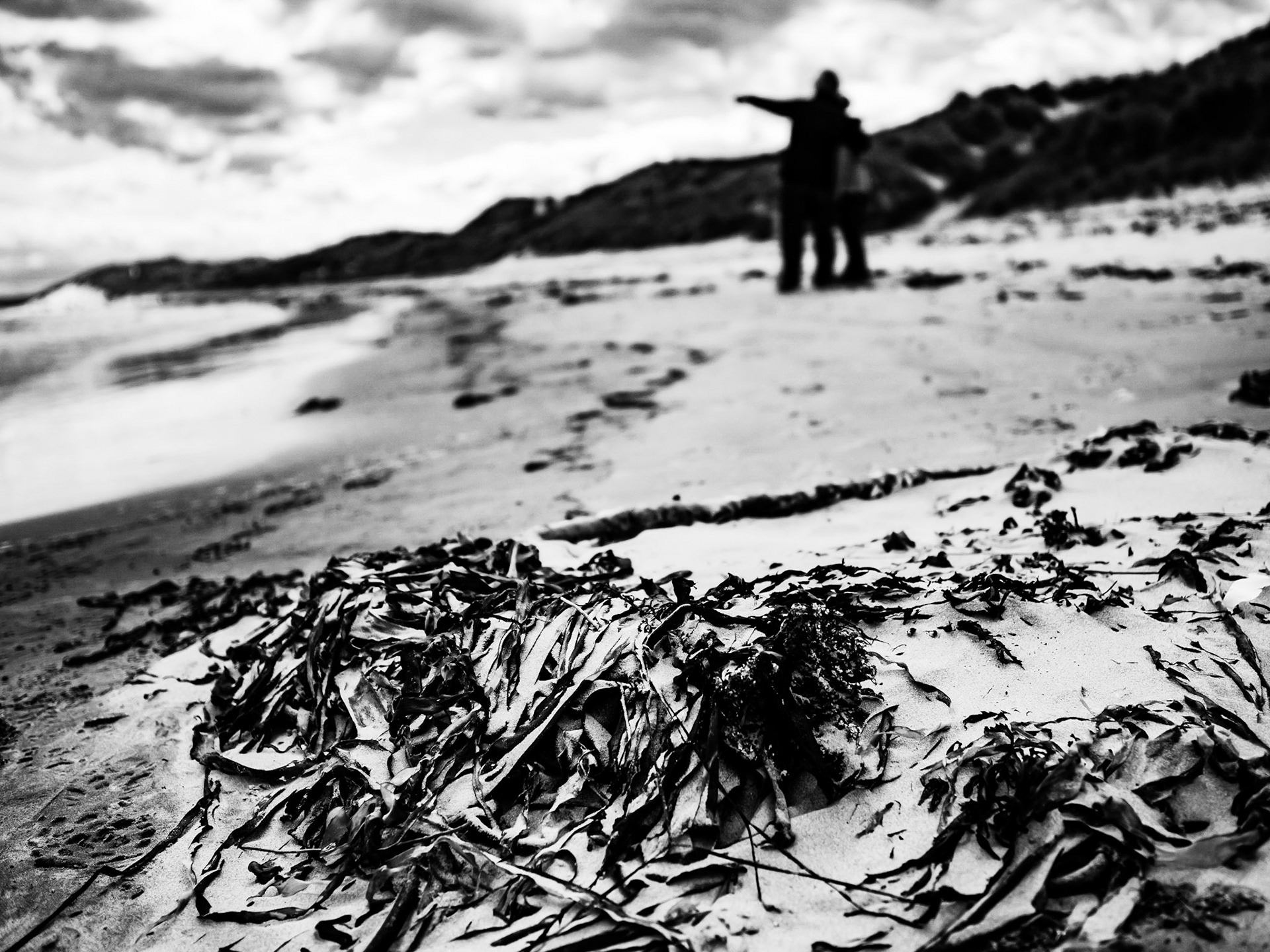 Beadnell Northumberland Summer 2019