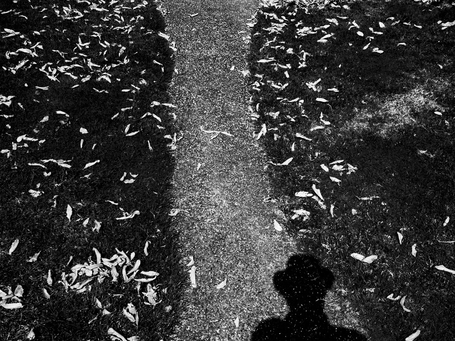 Cannon Hall Barnsley