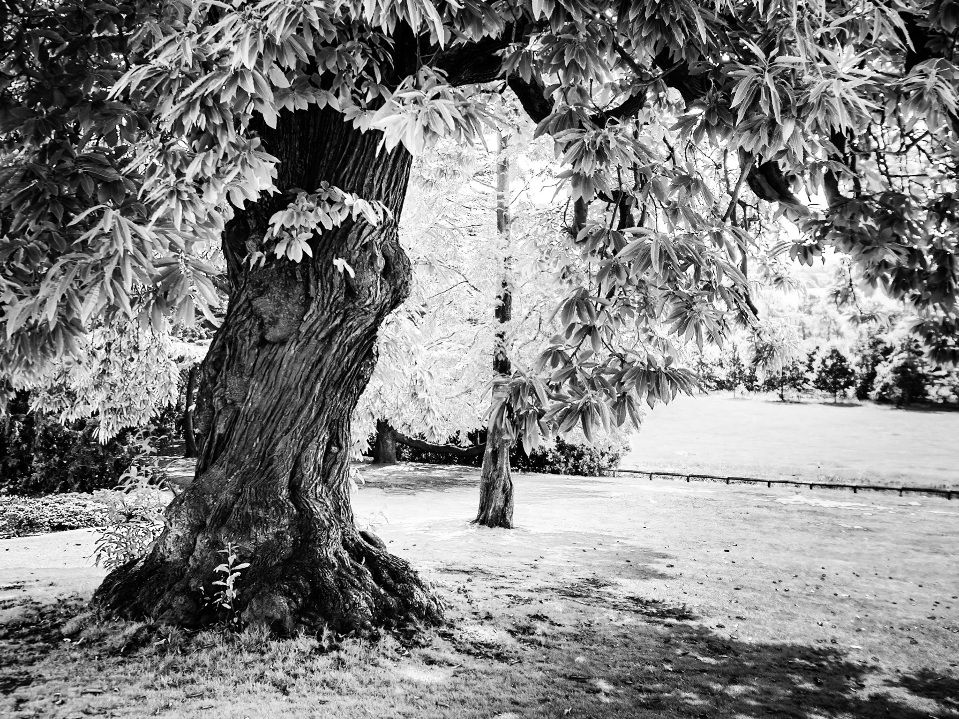 Cannon Hall Barnsley