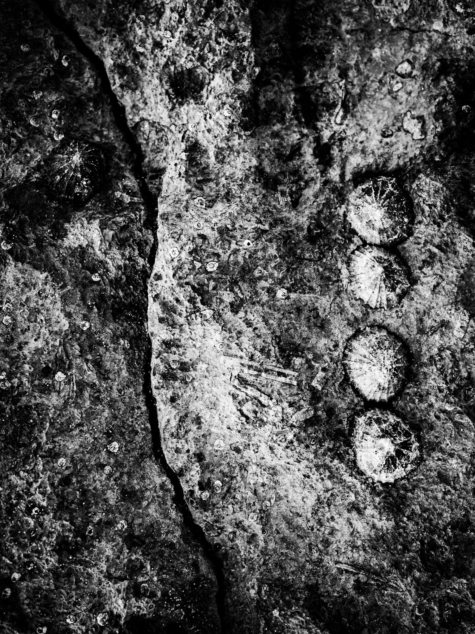 Beadnell Northumberland Summer 2019