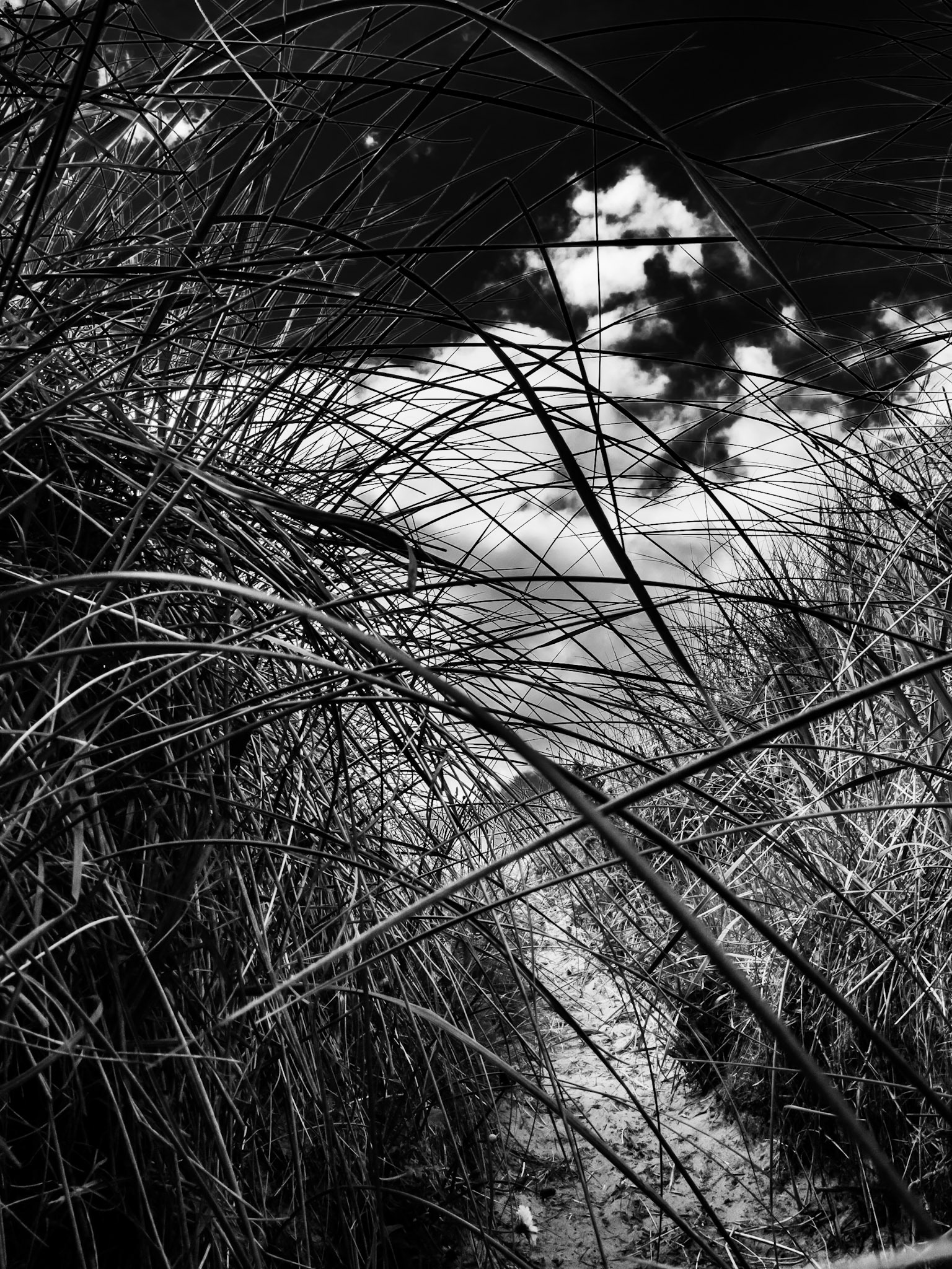 Beadnell Northumberland Summer 2019