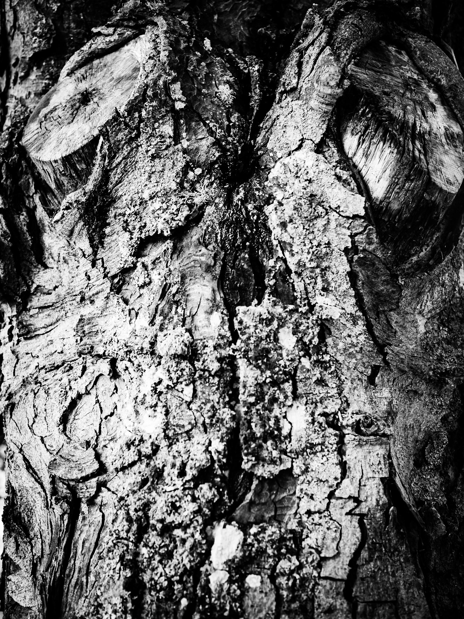 Clennell Northumberland