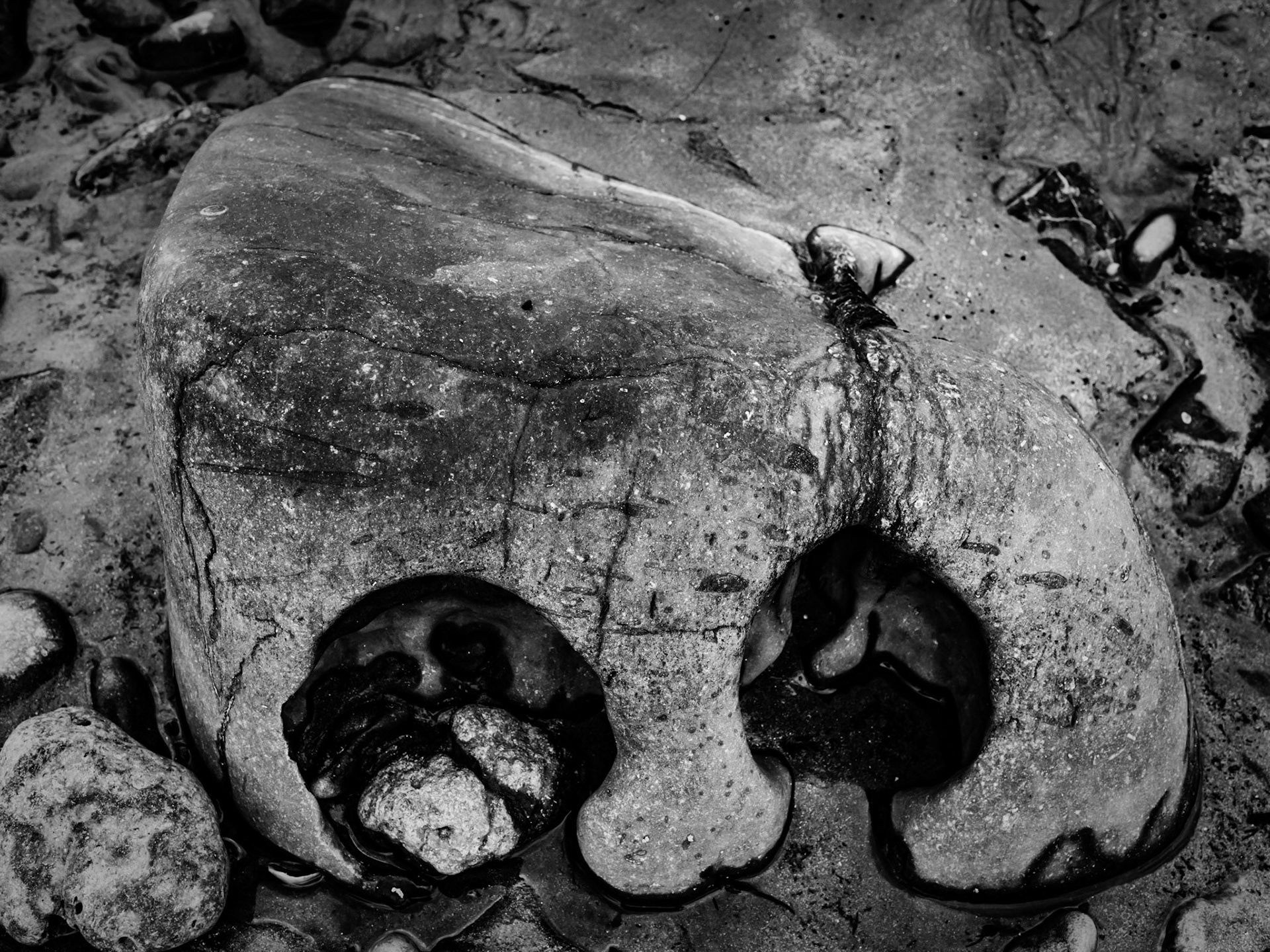 Beadnell Northumberland Summer 2019