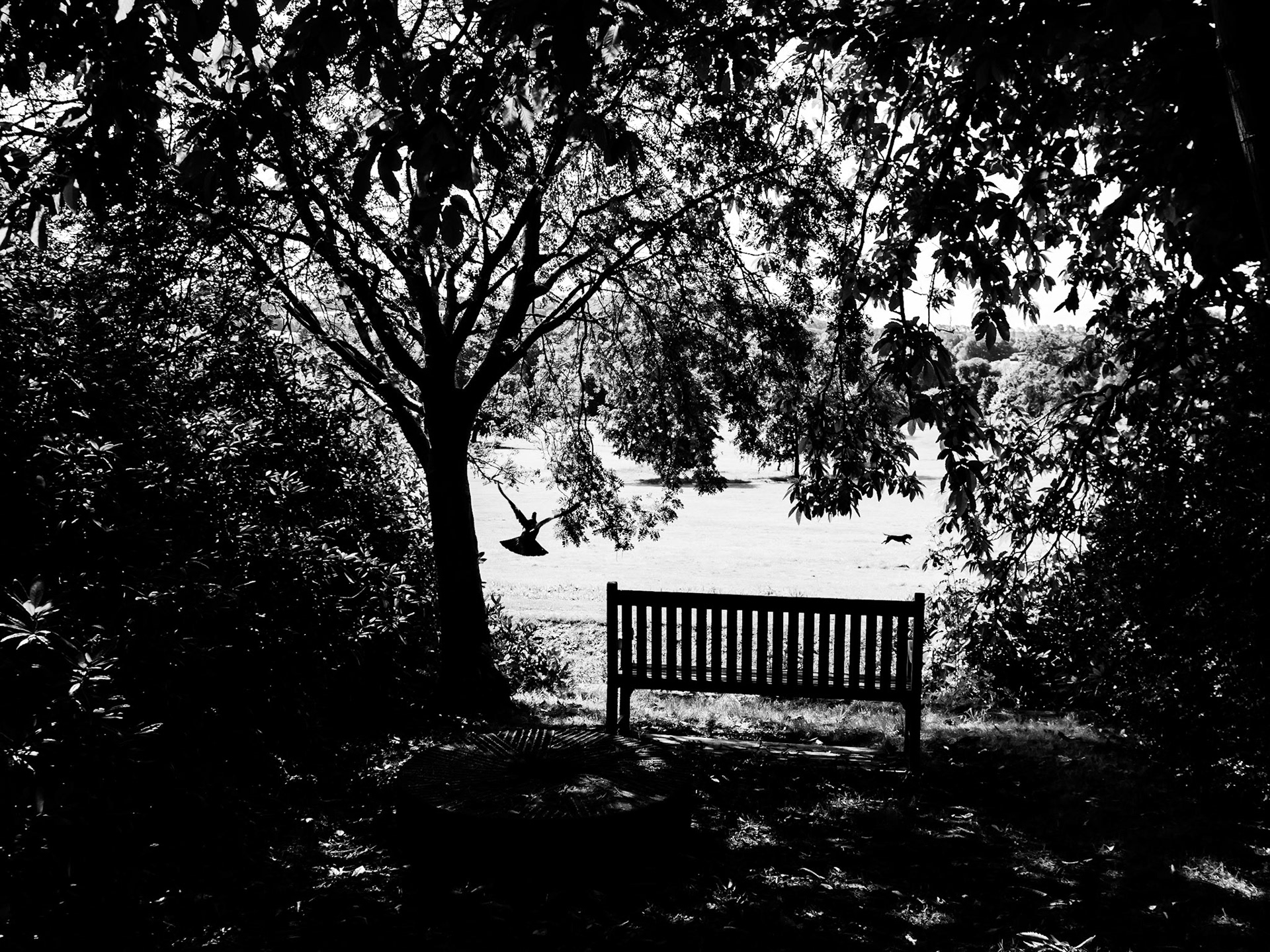 Cannon Hall Barnsley