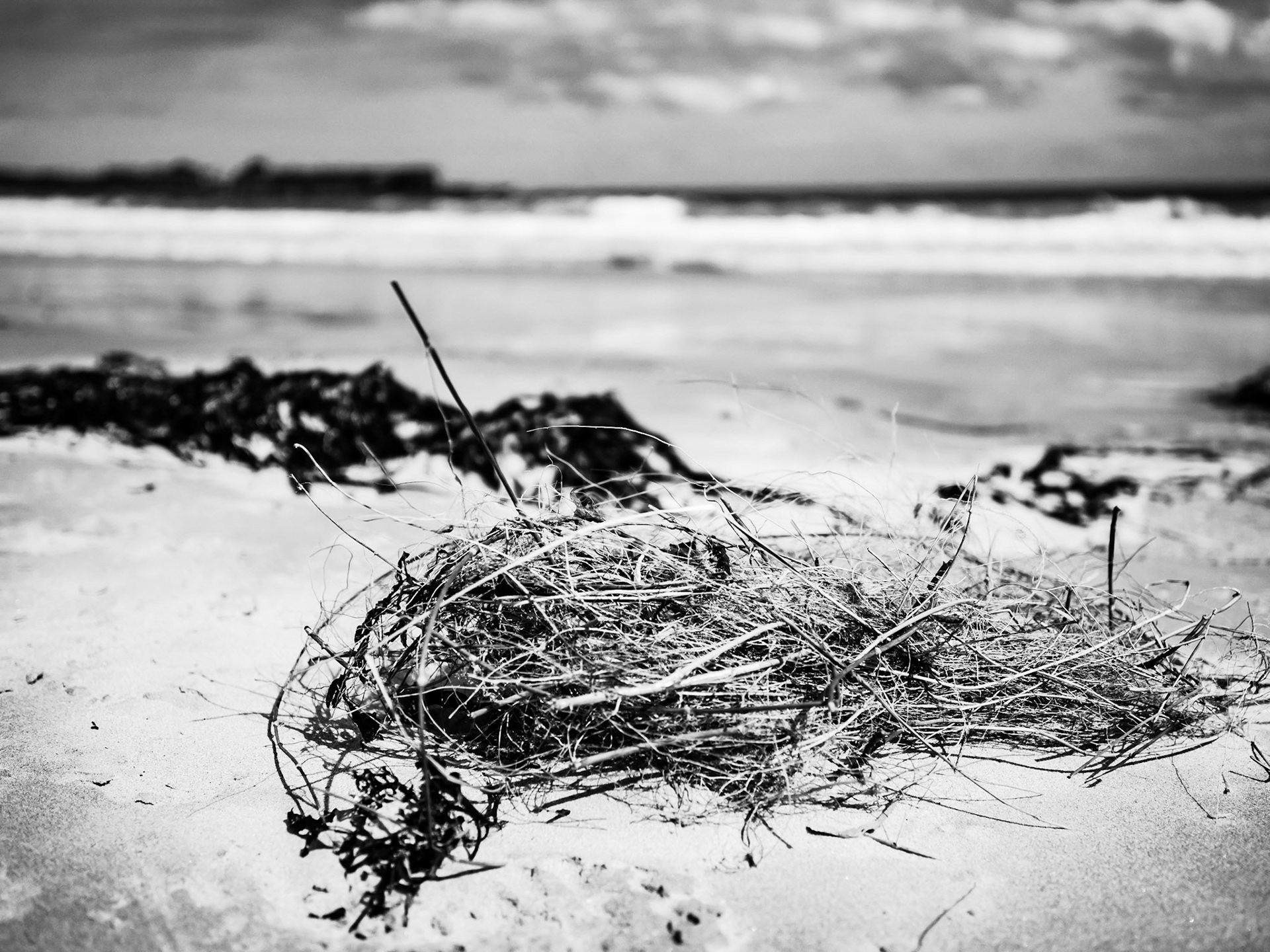 Beadnell Northumberland Summer 2019