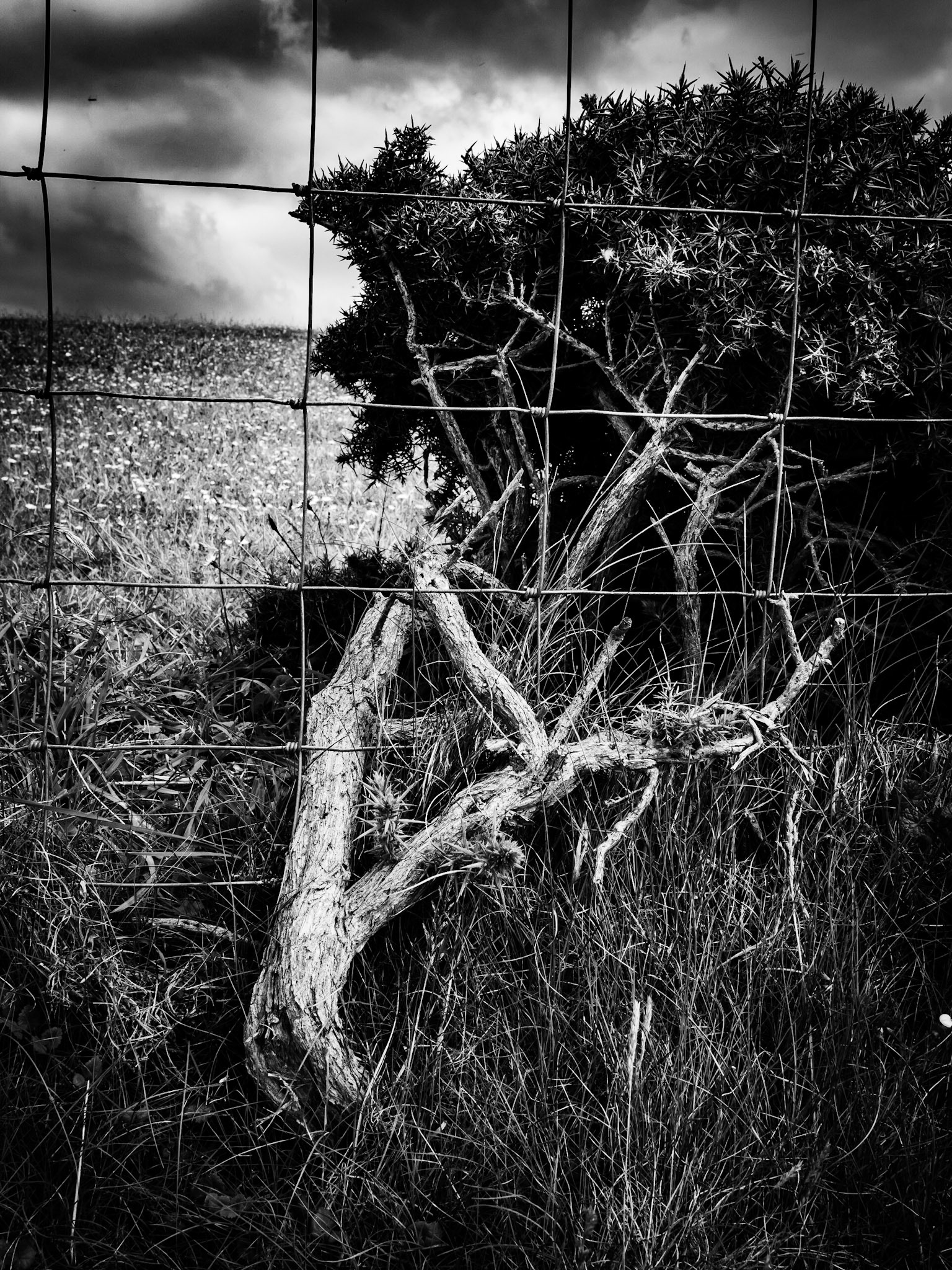 Mawgan Porth, Cornwall