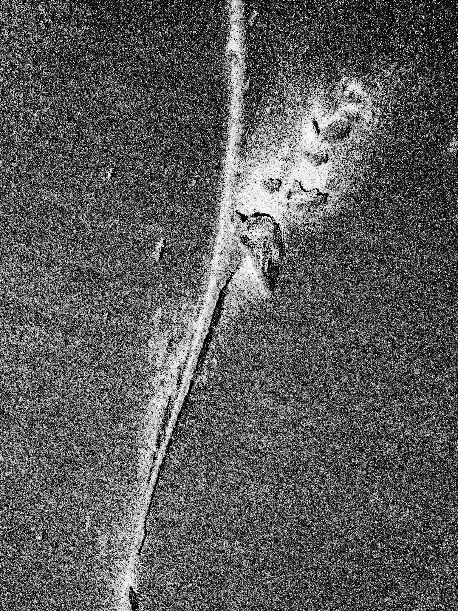 Beadnell Northumberland Summer 2019