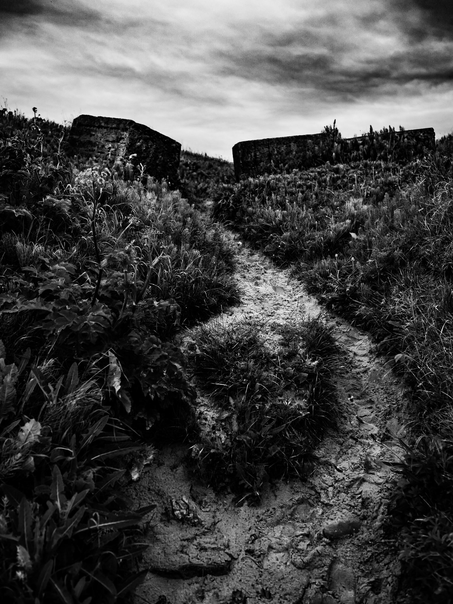 Cresswell Beach, Northumberland. At Sunset. Summer 2019.