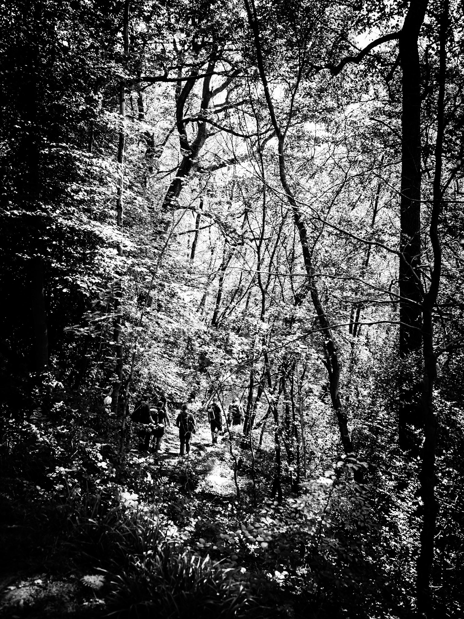 Walking with Meetup Luddenden