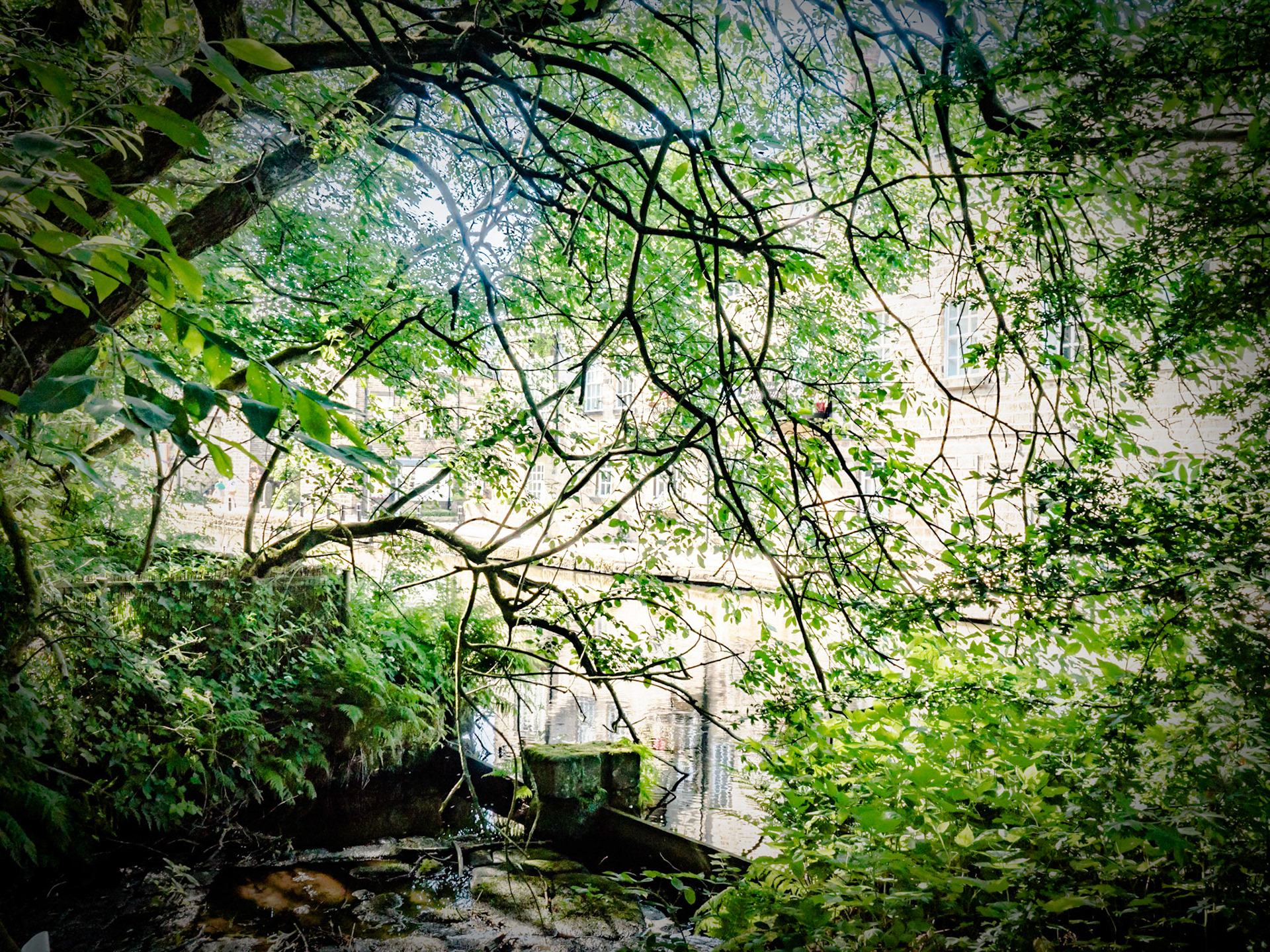 Sunlit canalside,hebden bridge,