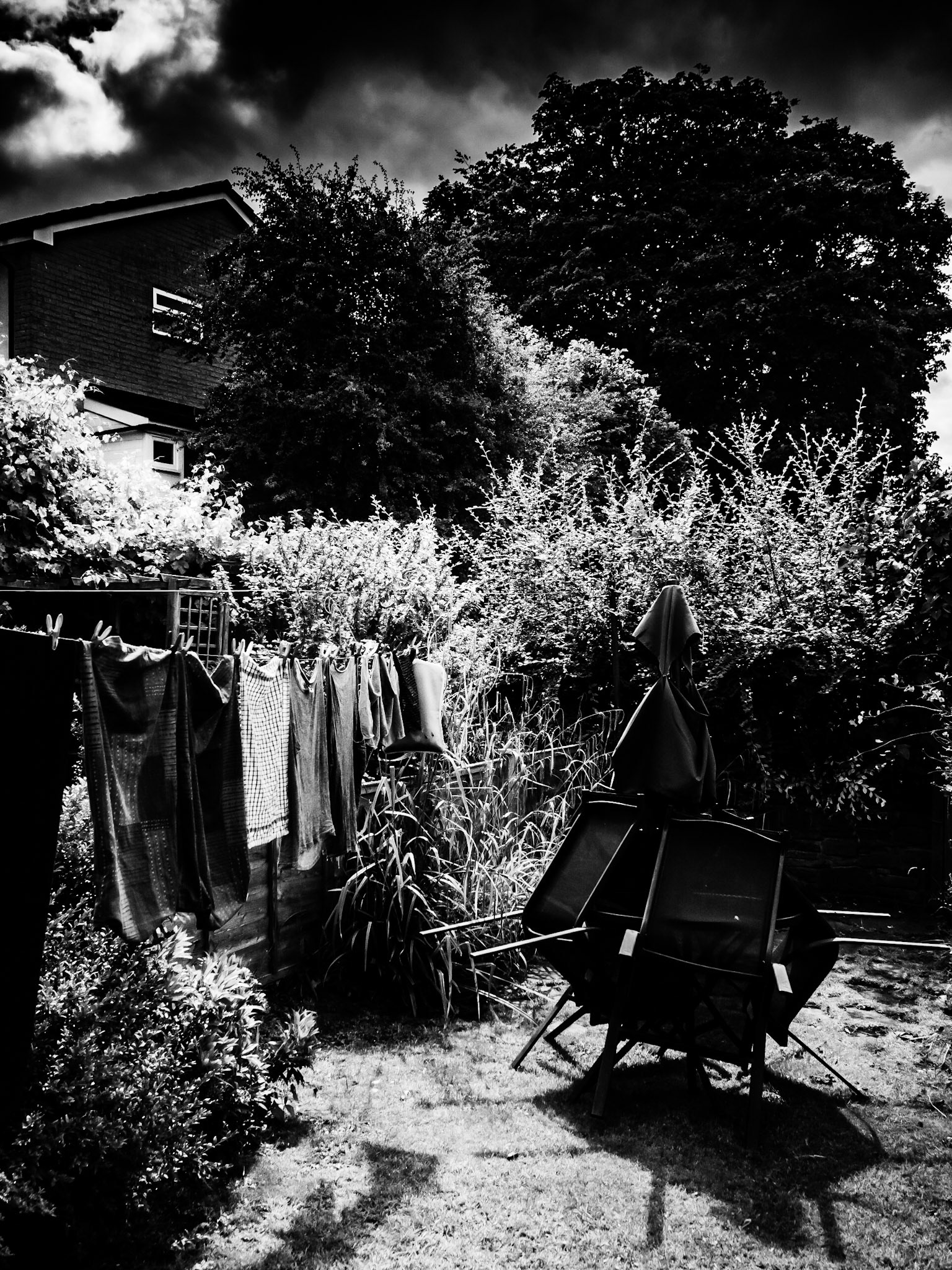 My garden and washing.
