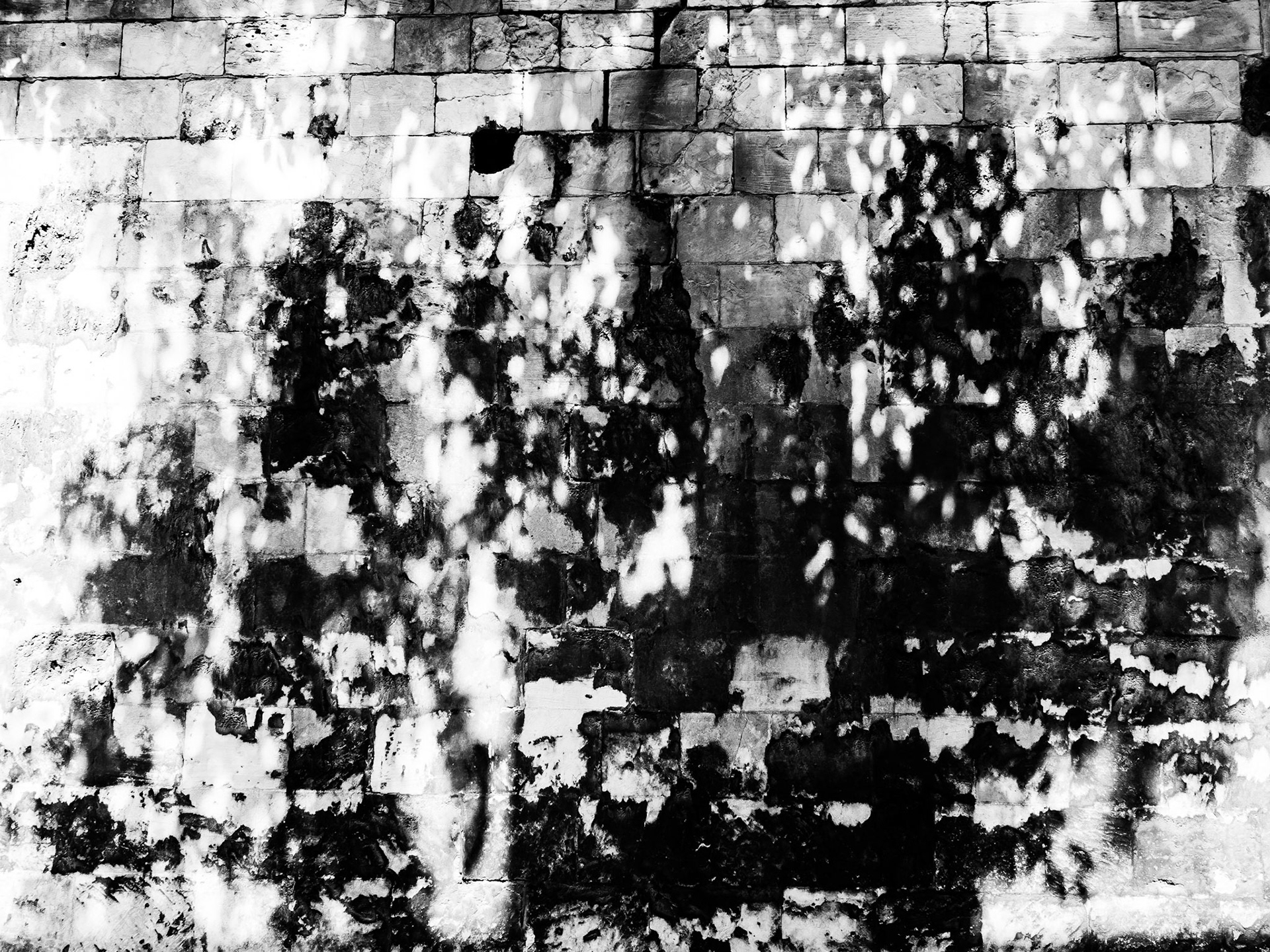 York Minster gardens