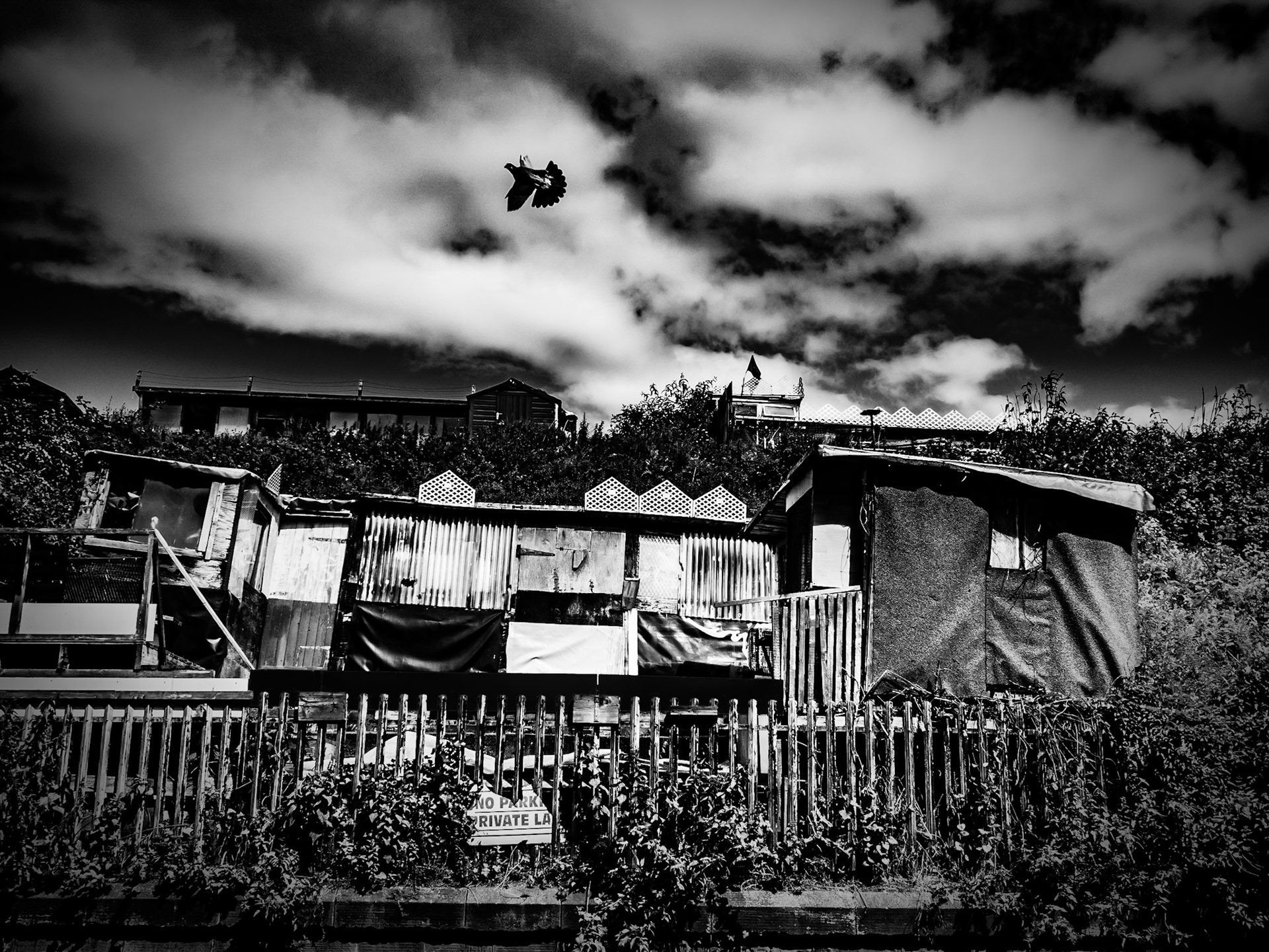 Newcastle, Northumberland summer 2019