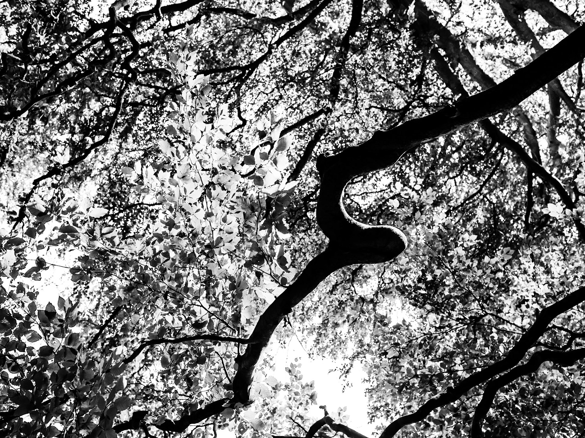 Yorkshire Sculpture Park