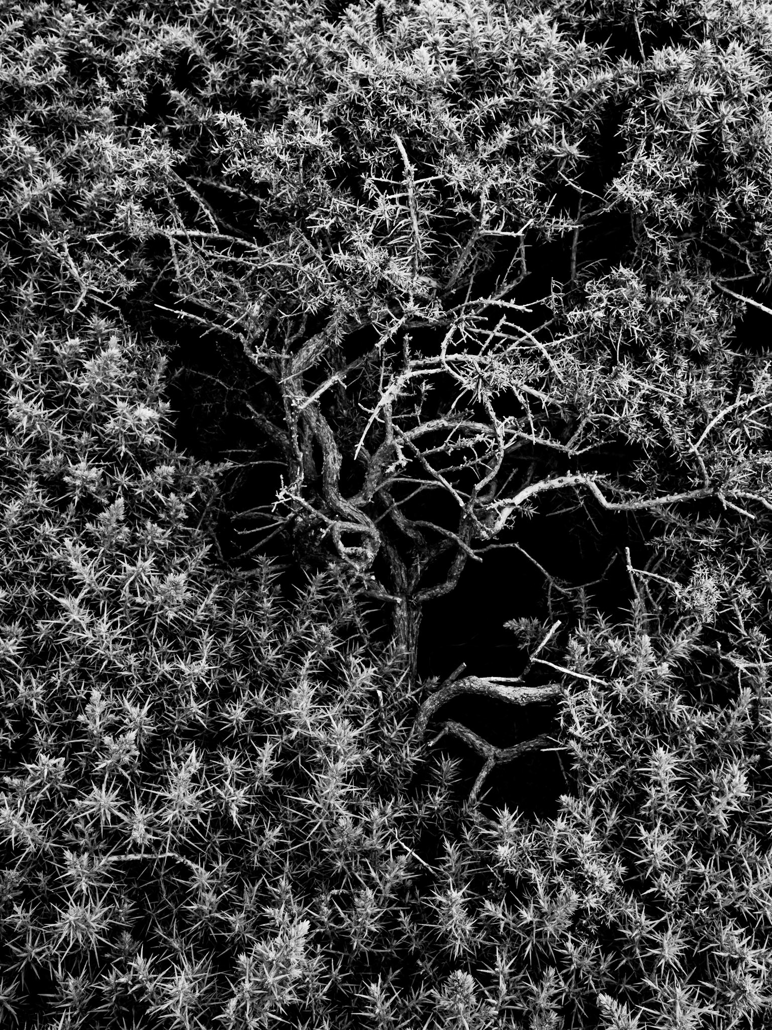 Mawgan Porth, Cornwall