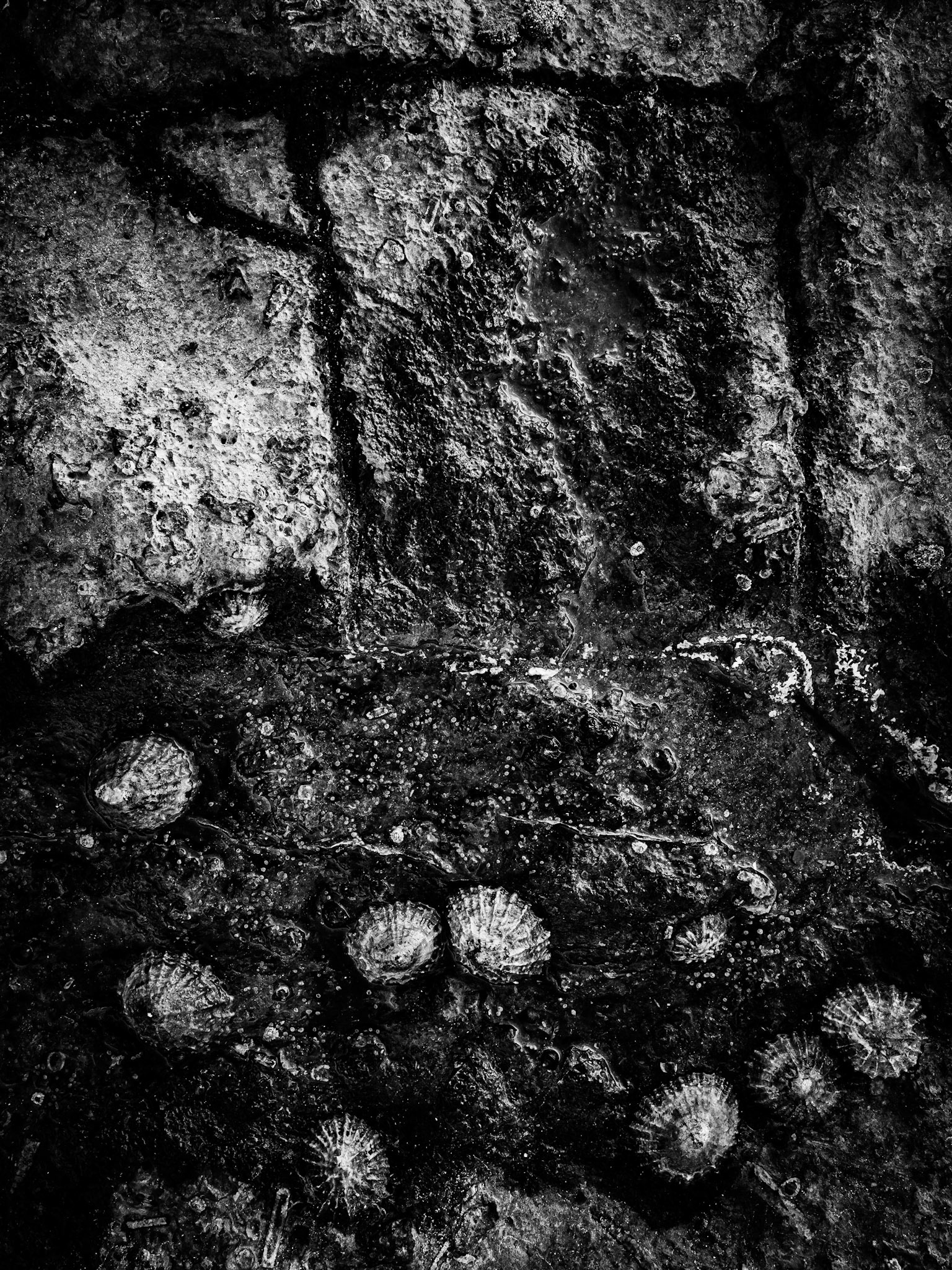 Beadnell Northumberland Summer 2019