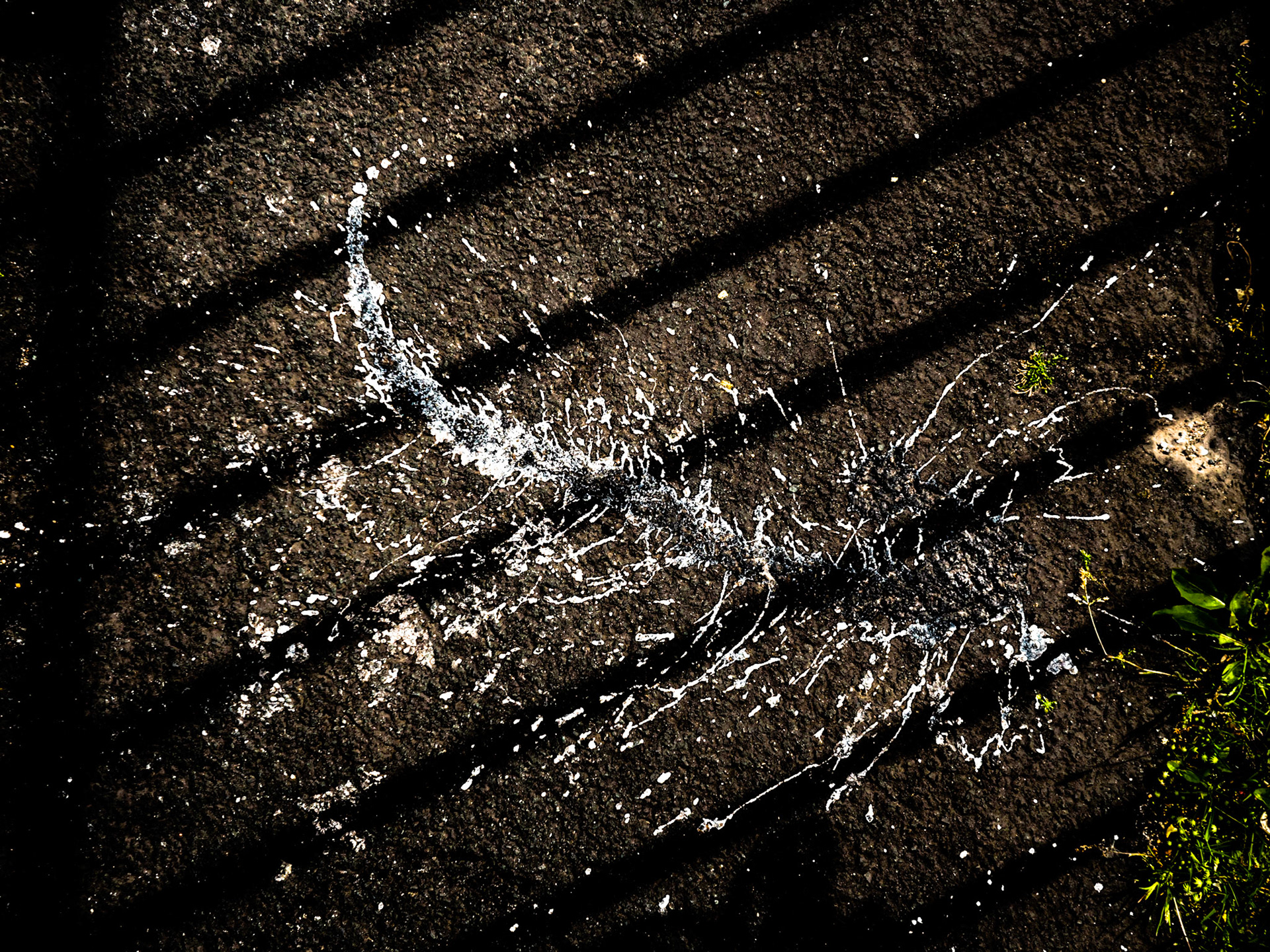 Paint Splash Edward Street