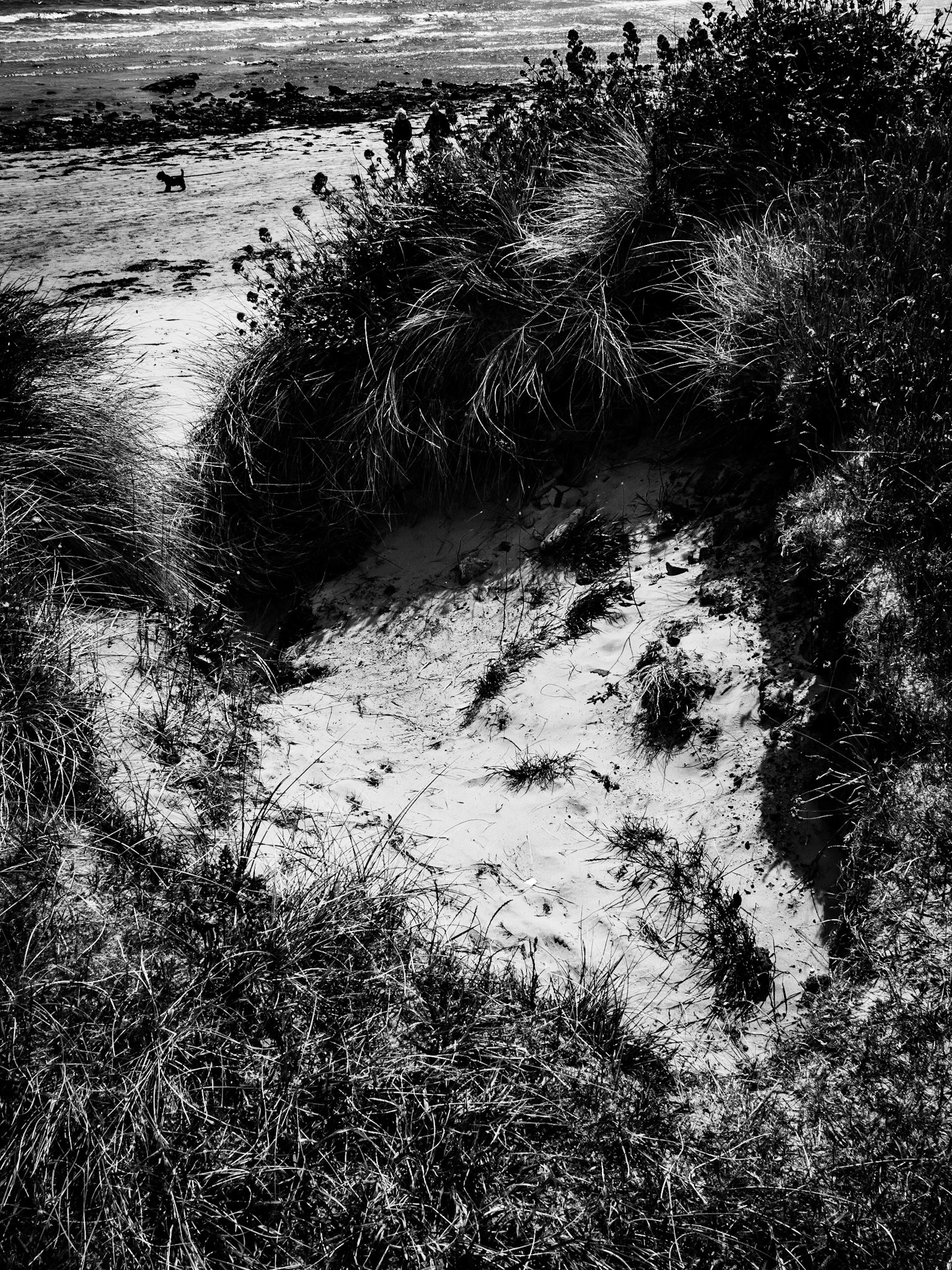 Beadnell Northumberland Summer 2019