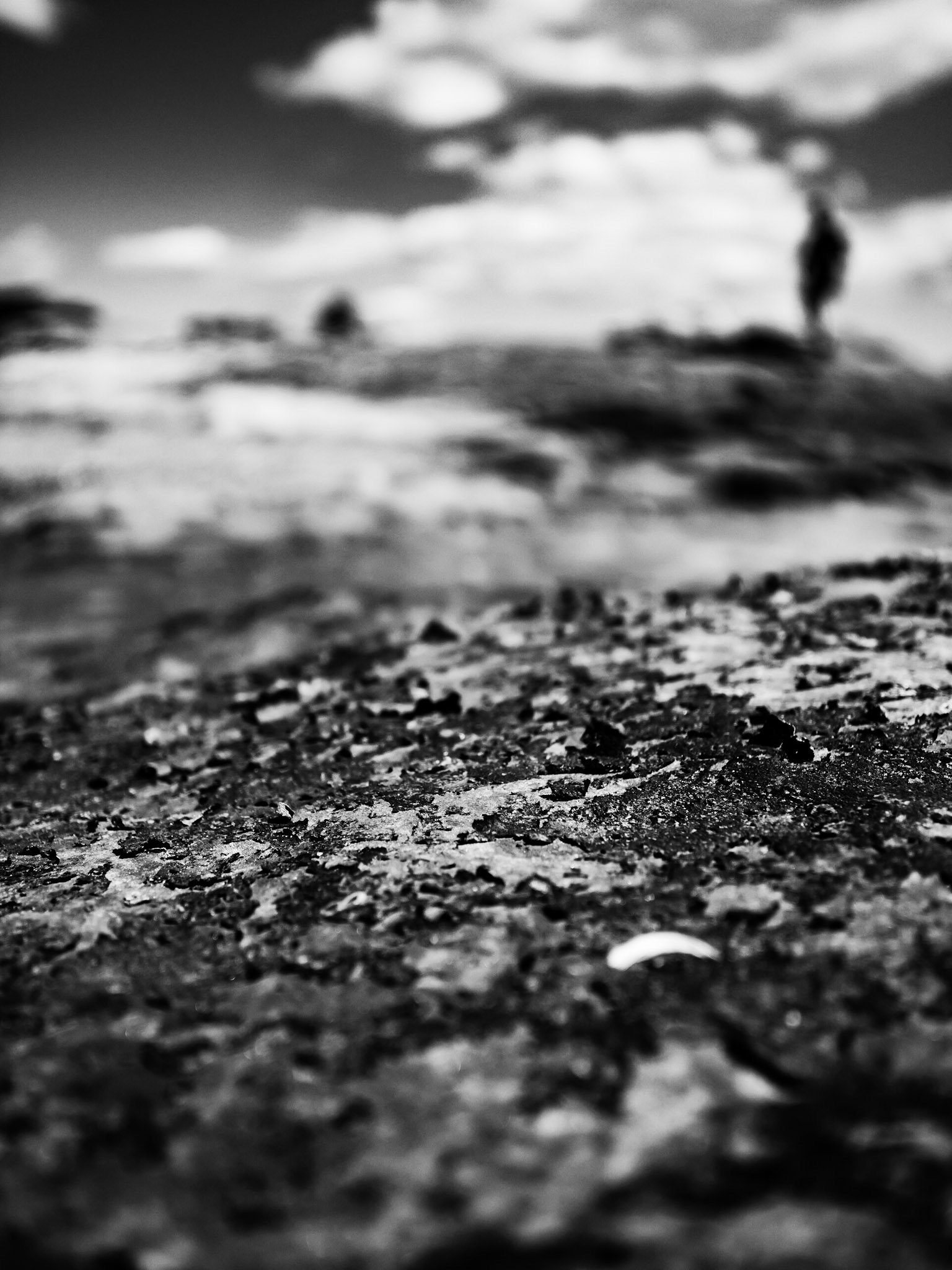 At Seahouses Northumberland