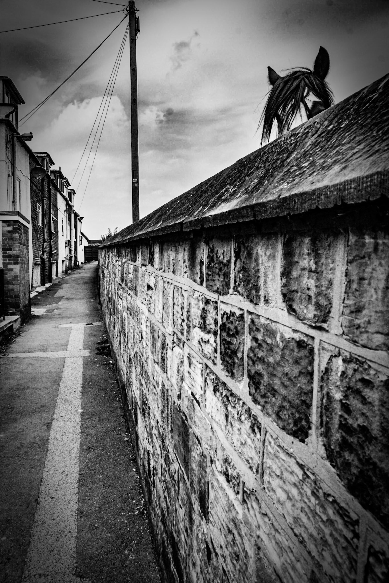 Photographed in Whitby by Robert Norbury. Printed 7/11/2011. Signed verso.