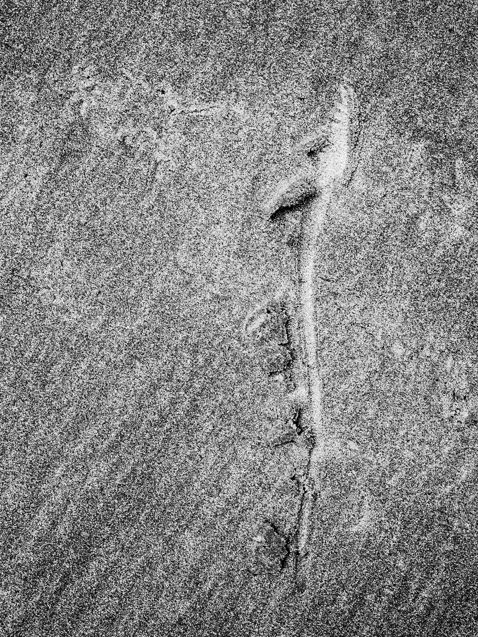 Beadnell Northumberland Summer 2019