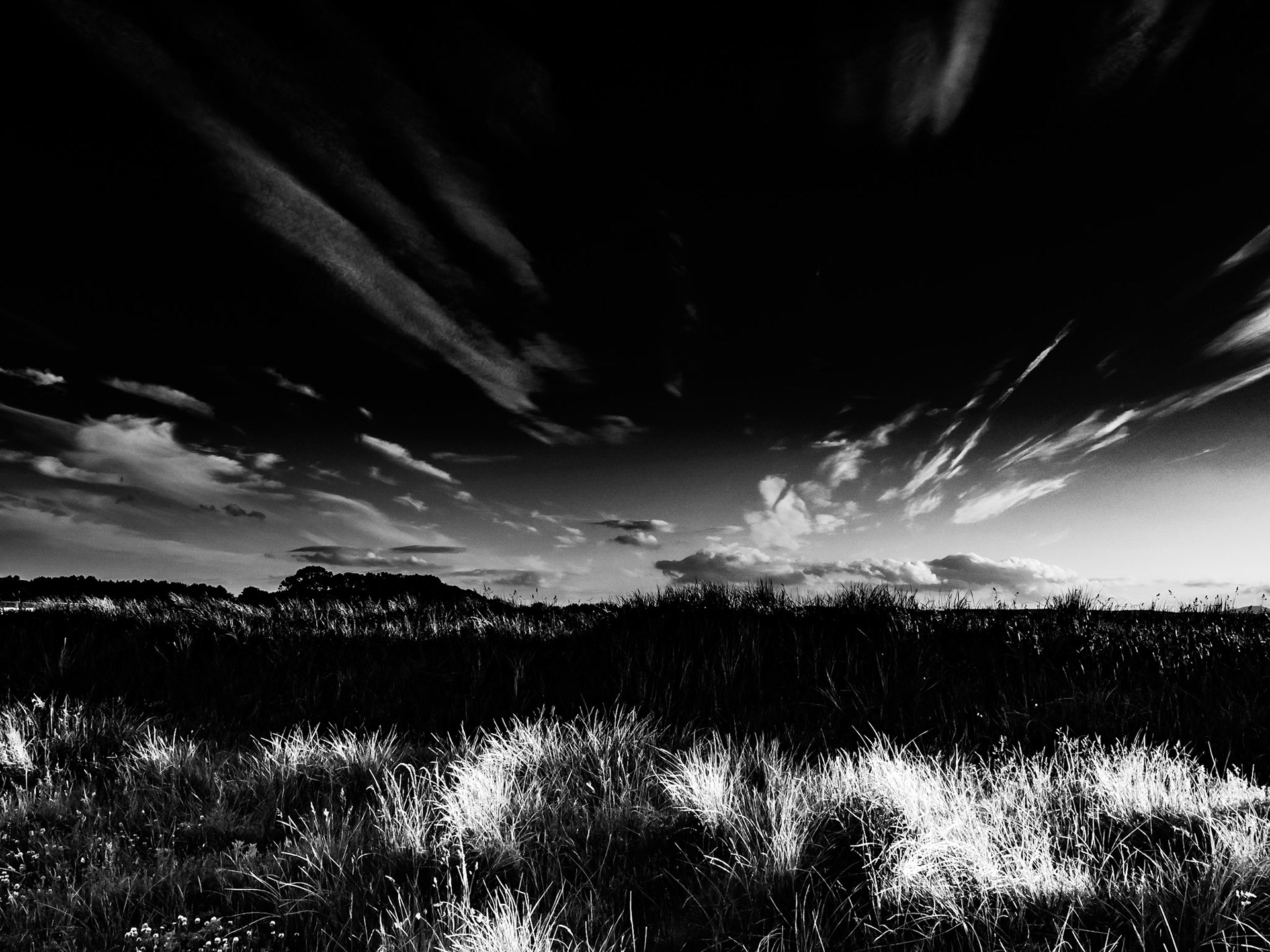 Beadnell Northumberland Summer 2019