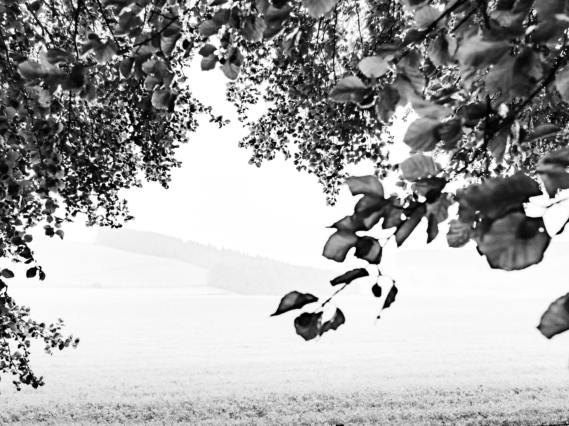 Clennell Northumberland