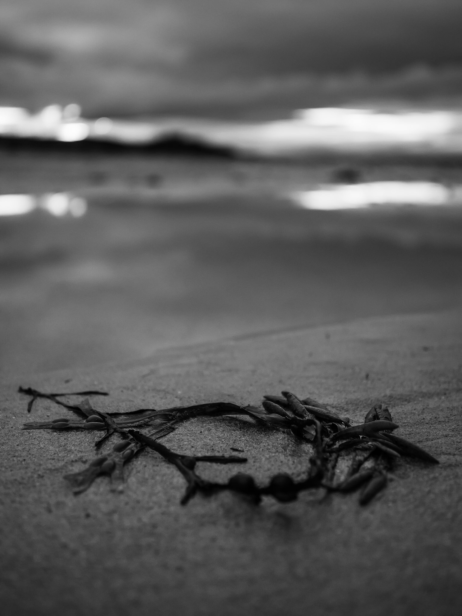 Cresswell Beach, Northumberland. At Sunset. Summer 2019.