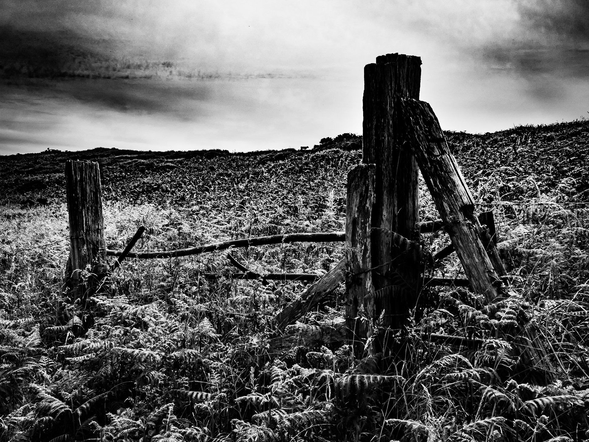 Cliff top walk St Ives