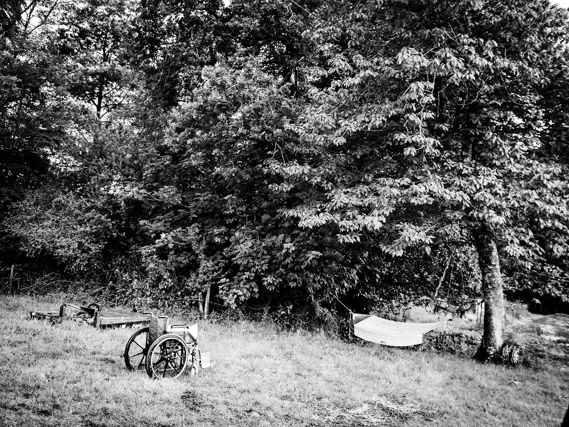 Lotte and Clive's Party Devon