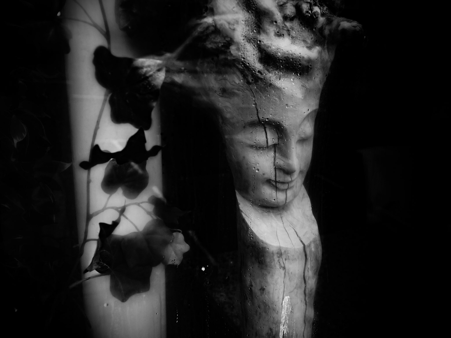 Alnwick Northumberland Summer 2019