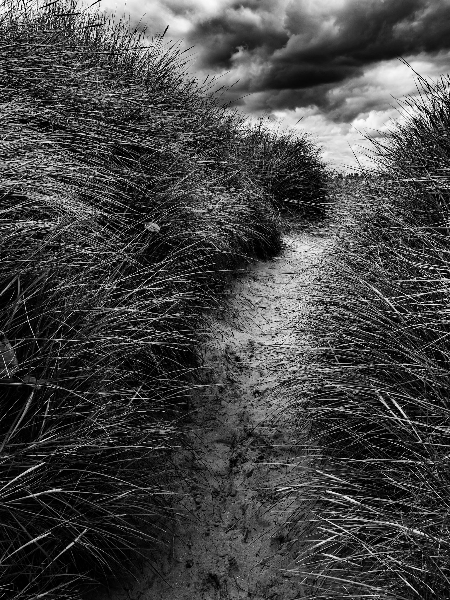 Beadnell Northumberland Summer 2019