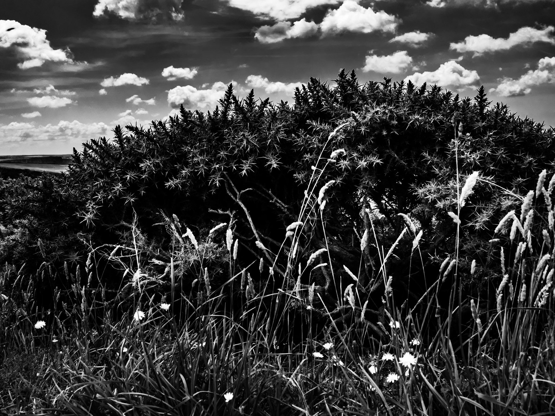 Mawgan Porth, Cornwall