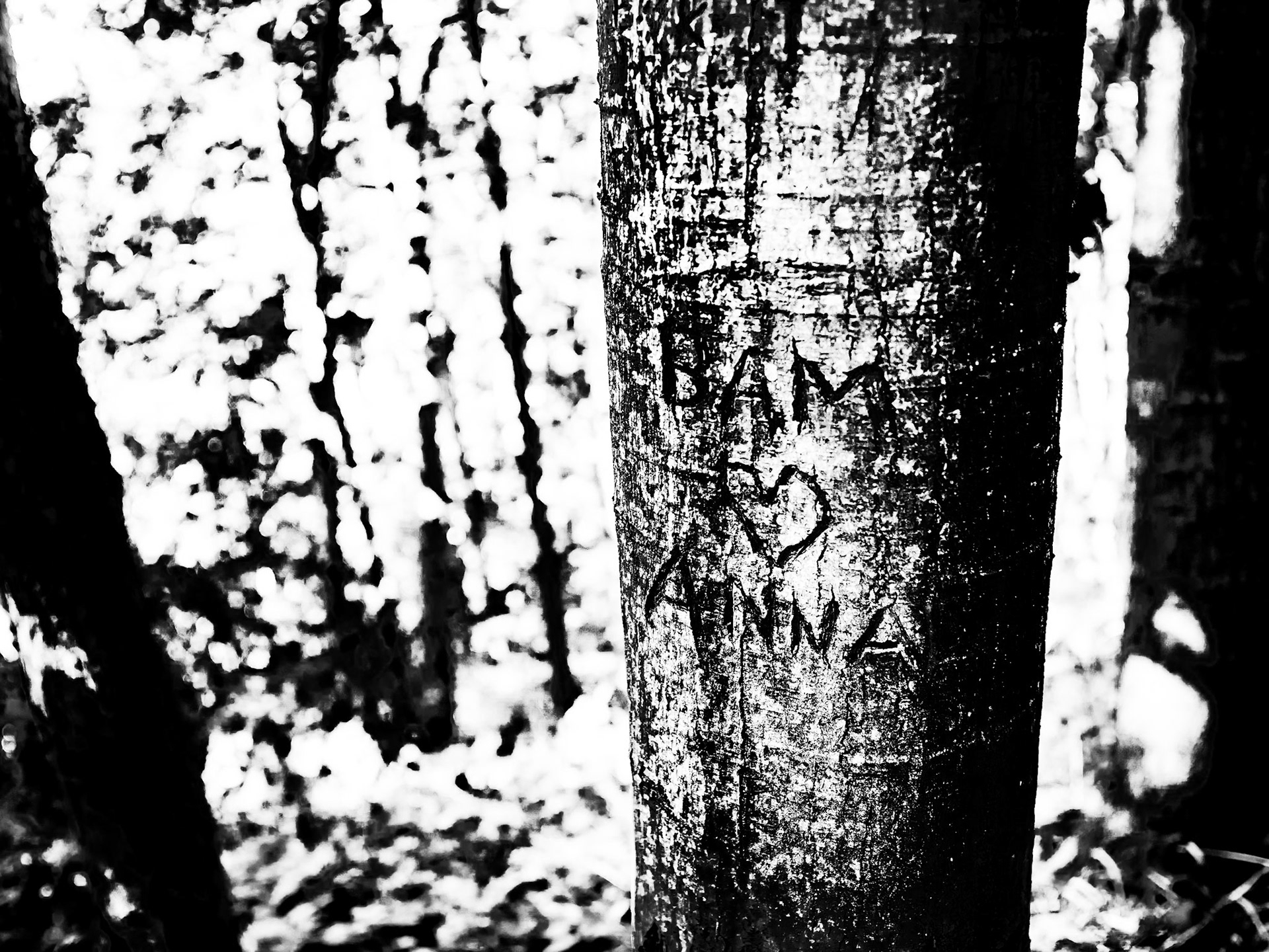 Yorkshire Sculpture Park