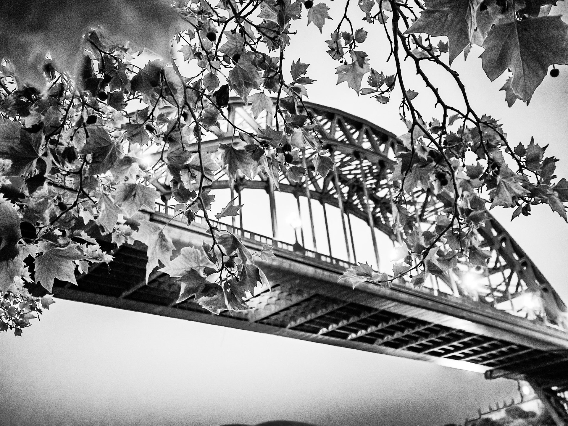 Newcastle, Northumberland summer 2019