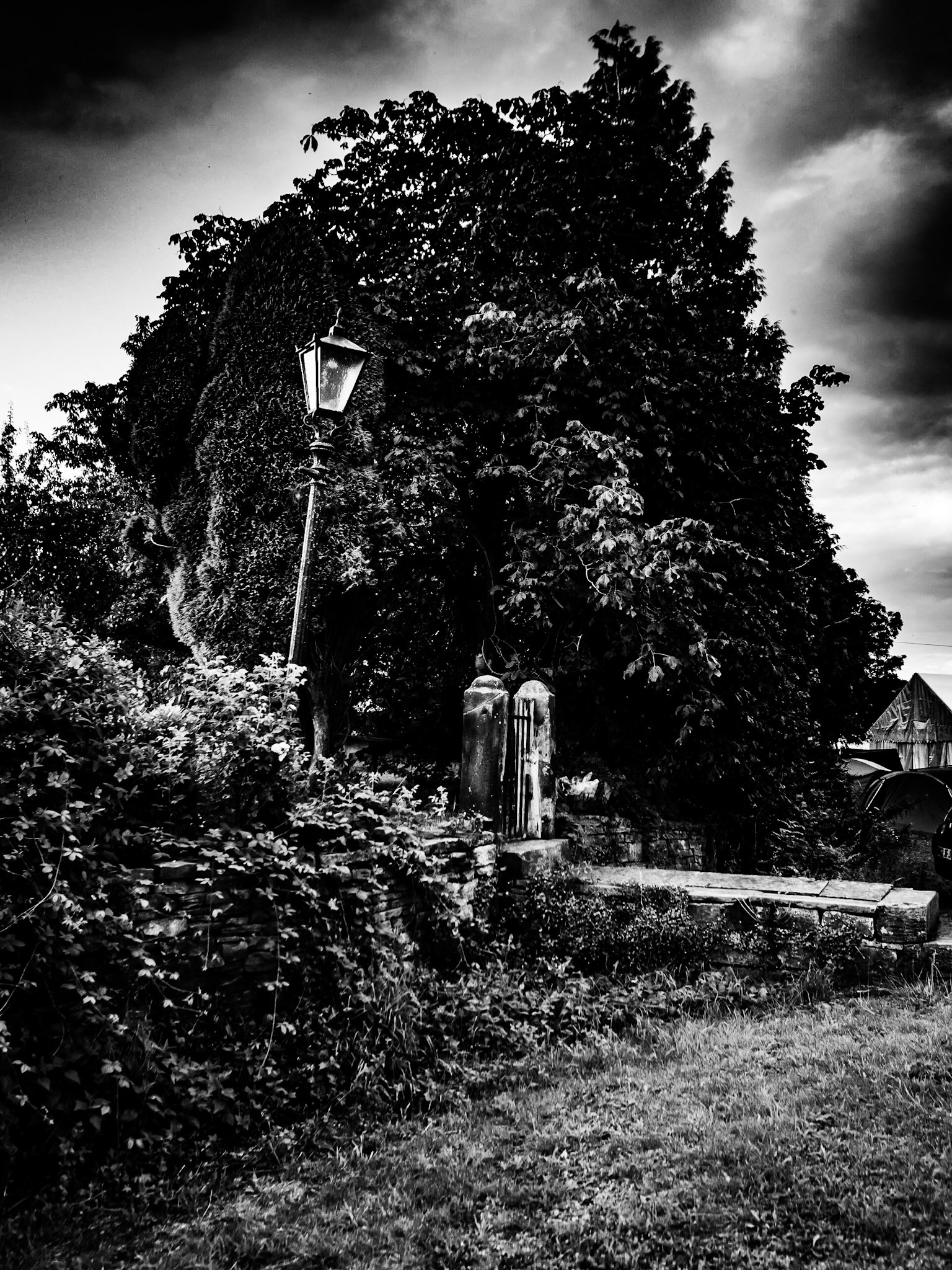 Underneath the Stars Festival