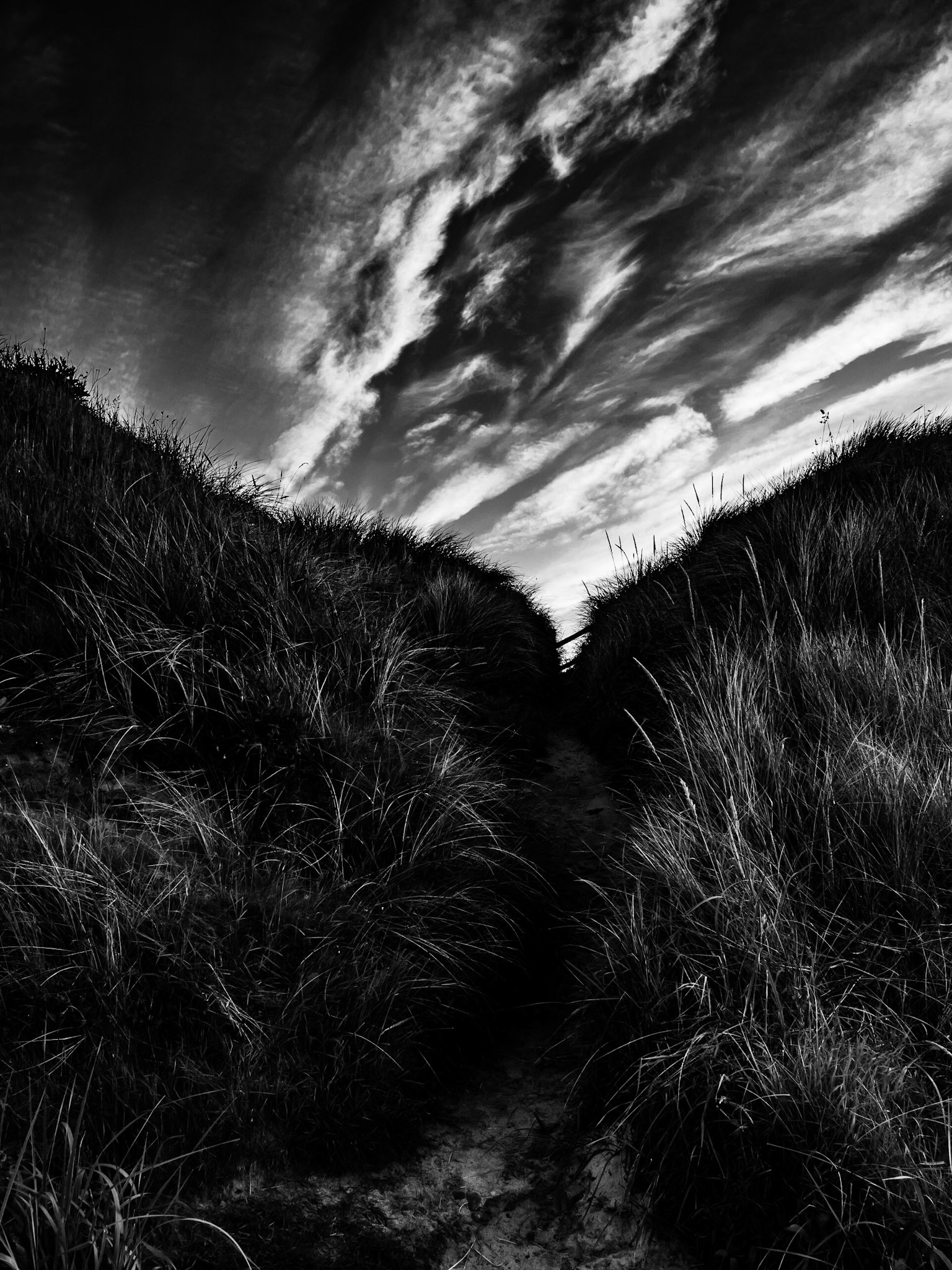 Beadnell Northumberland Summer 2019