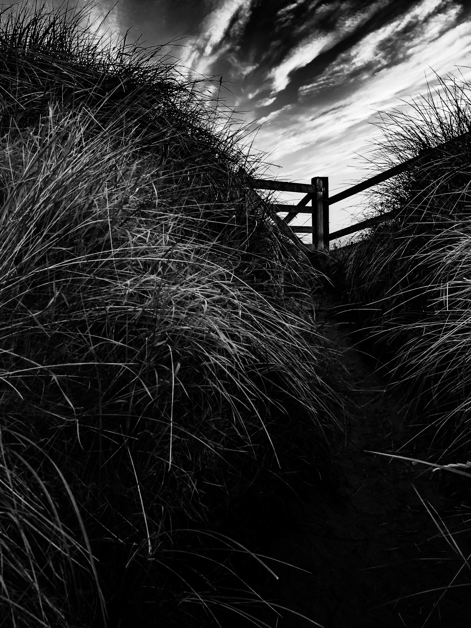 Beadnell Northumberland Summer 2019