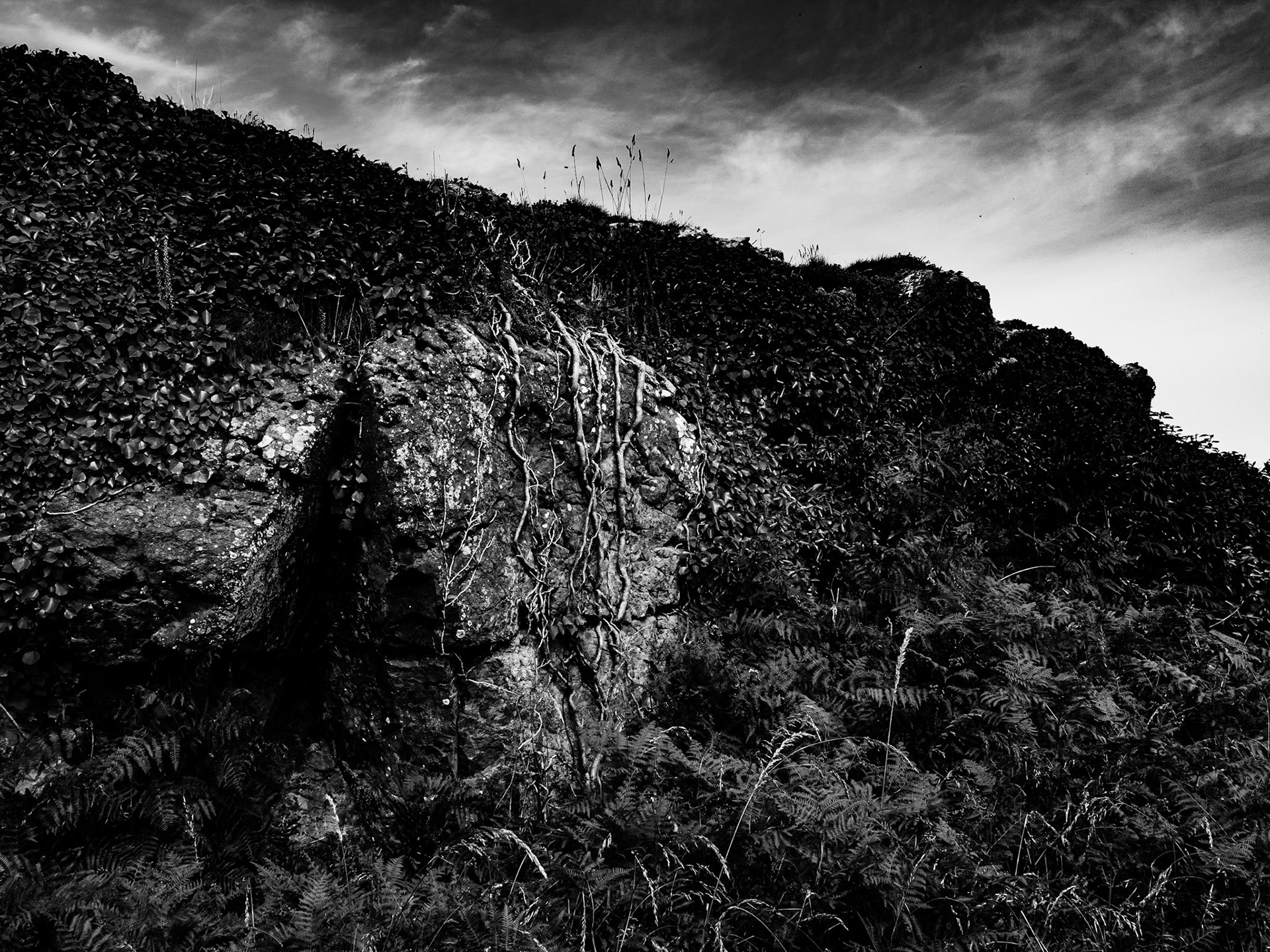 Cliff top walk St Ives