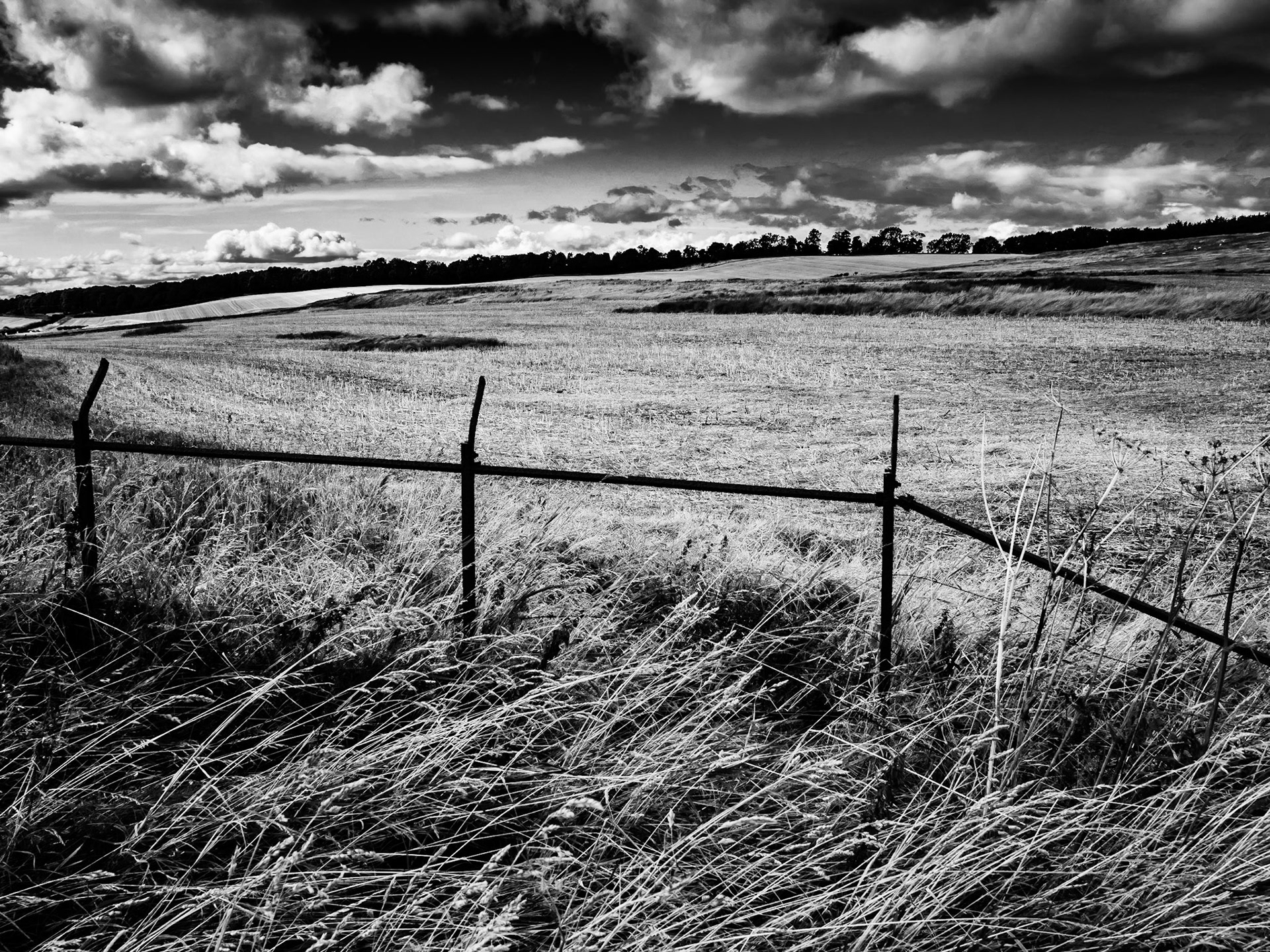 In the Scottish Borders