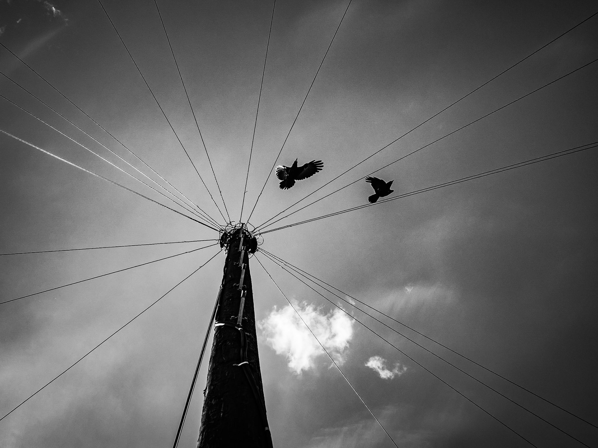 Beadnell Northumberland Summer 2019