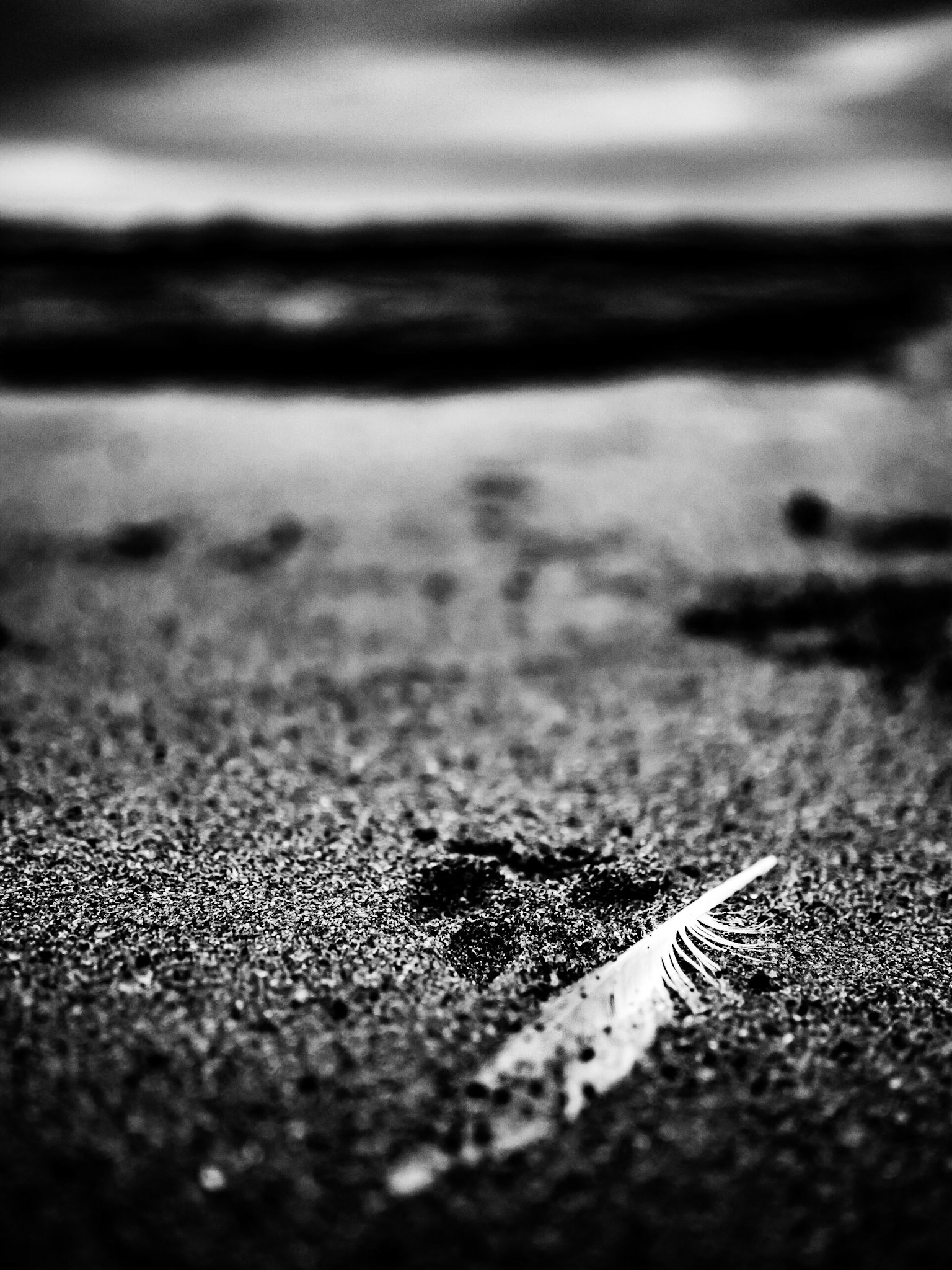 Cresswell Beach, Northumberland. At Sunset. Summer 2019.