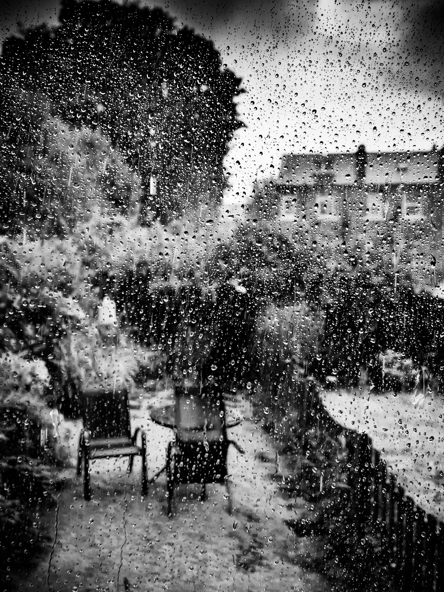 Rain on My Windows at Home