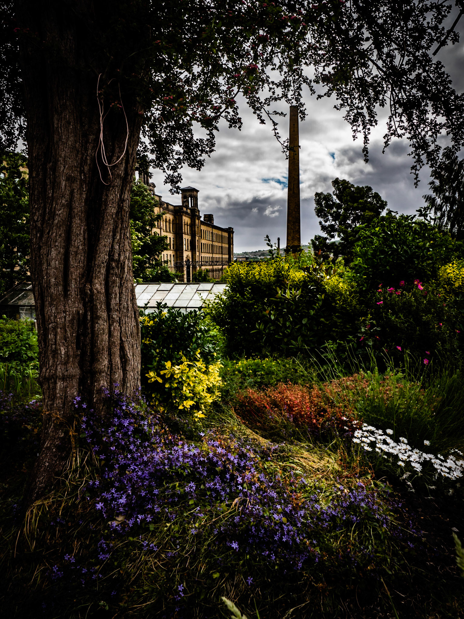 Salts Mill