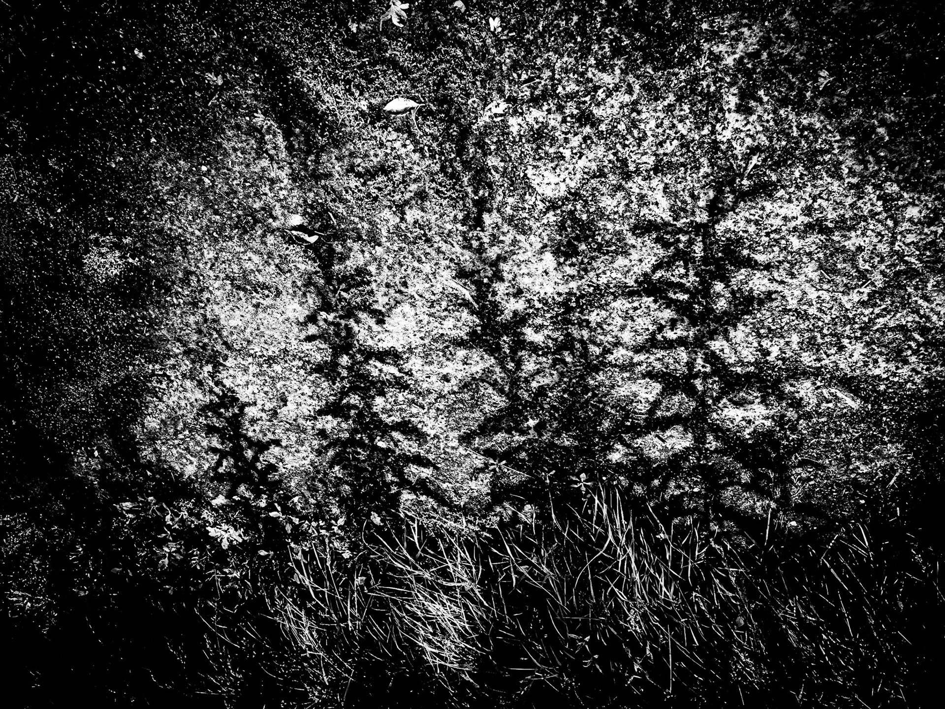 YorkshireSculpture Park Barnsley