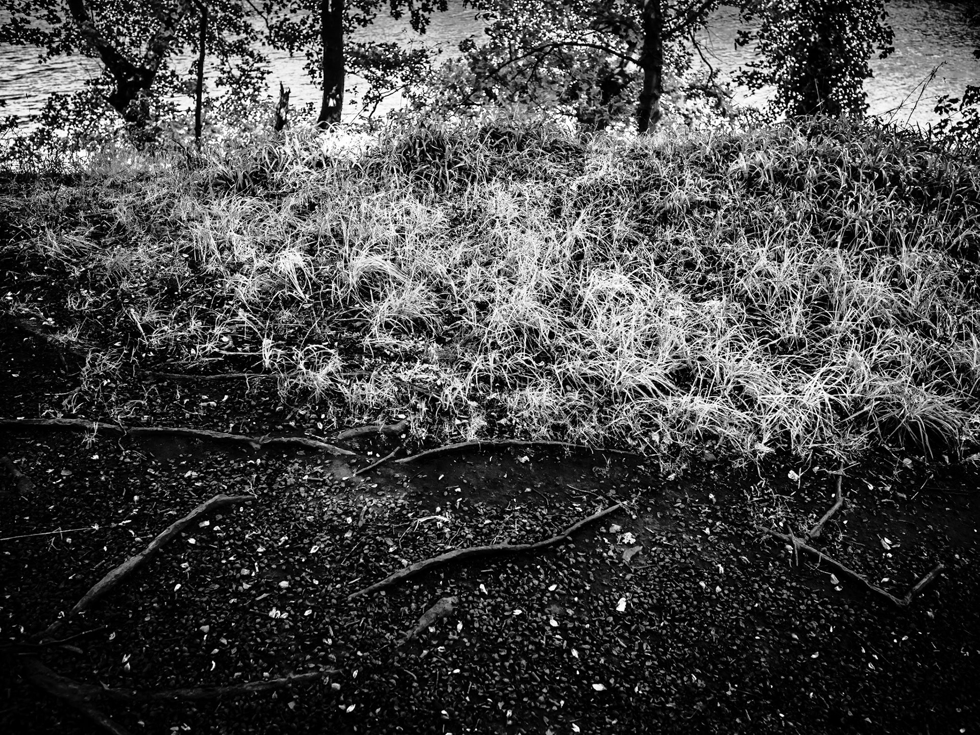 YorkshireSculpture Park Barnsley